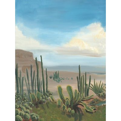 Where the Cacti Live I