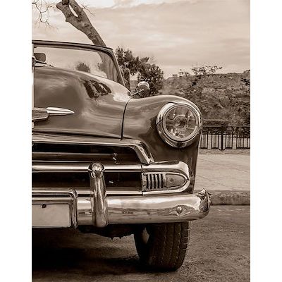 Sepia Bumper IV