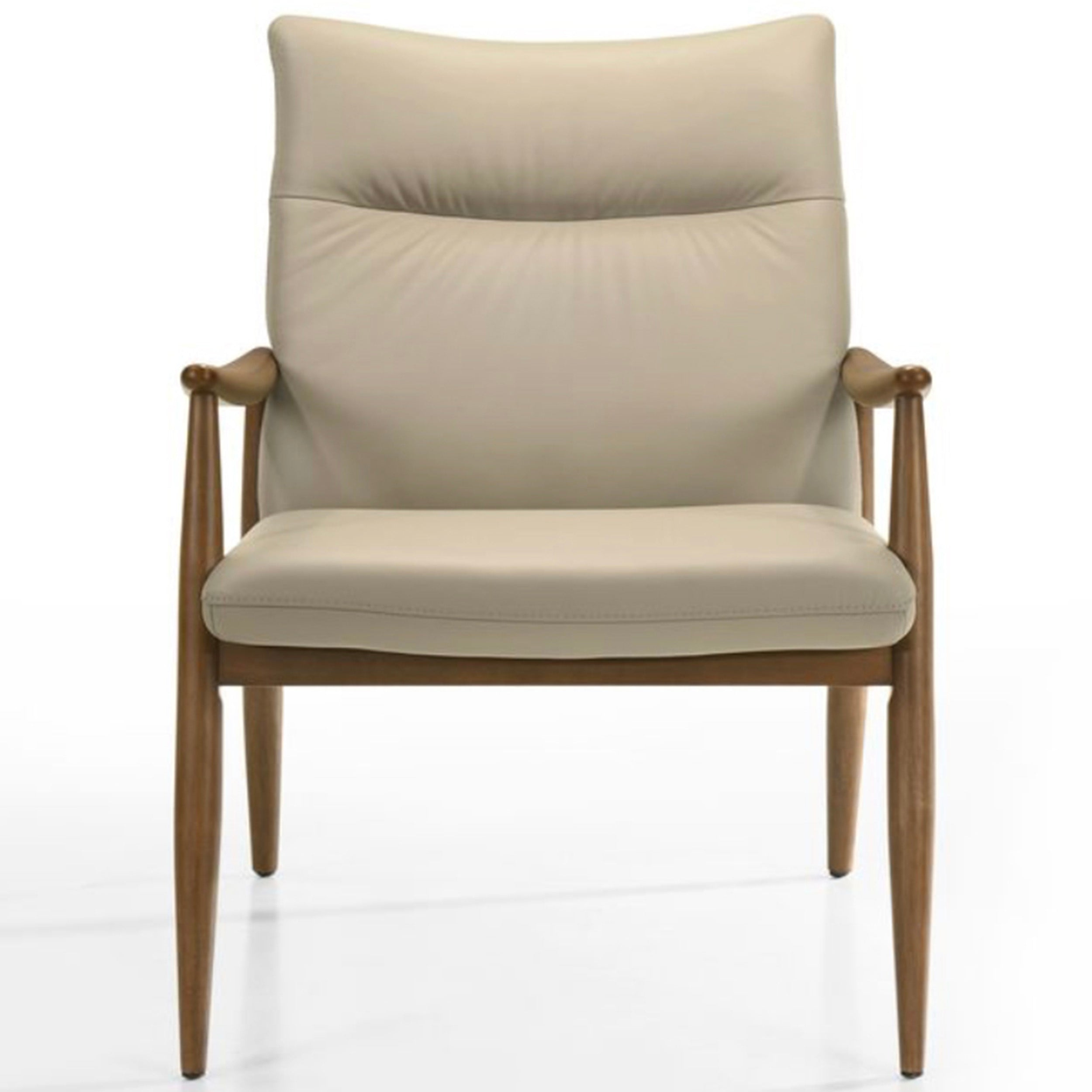 Frida 1781L Occasional Chair, Light Mocha