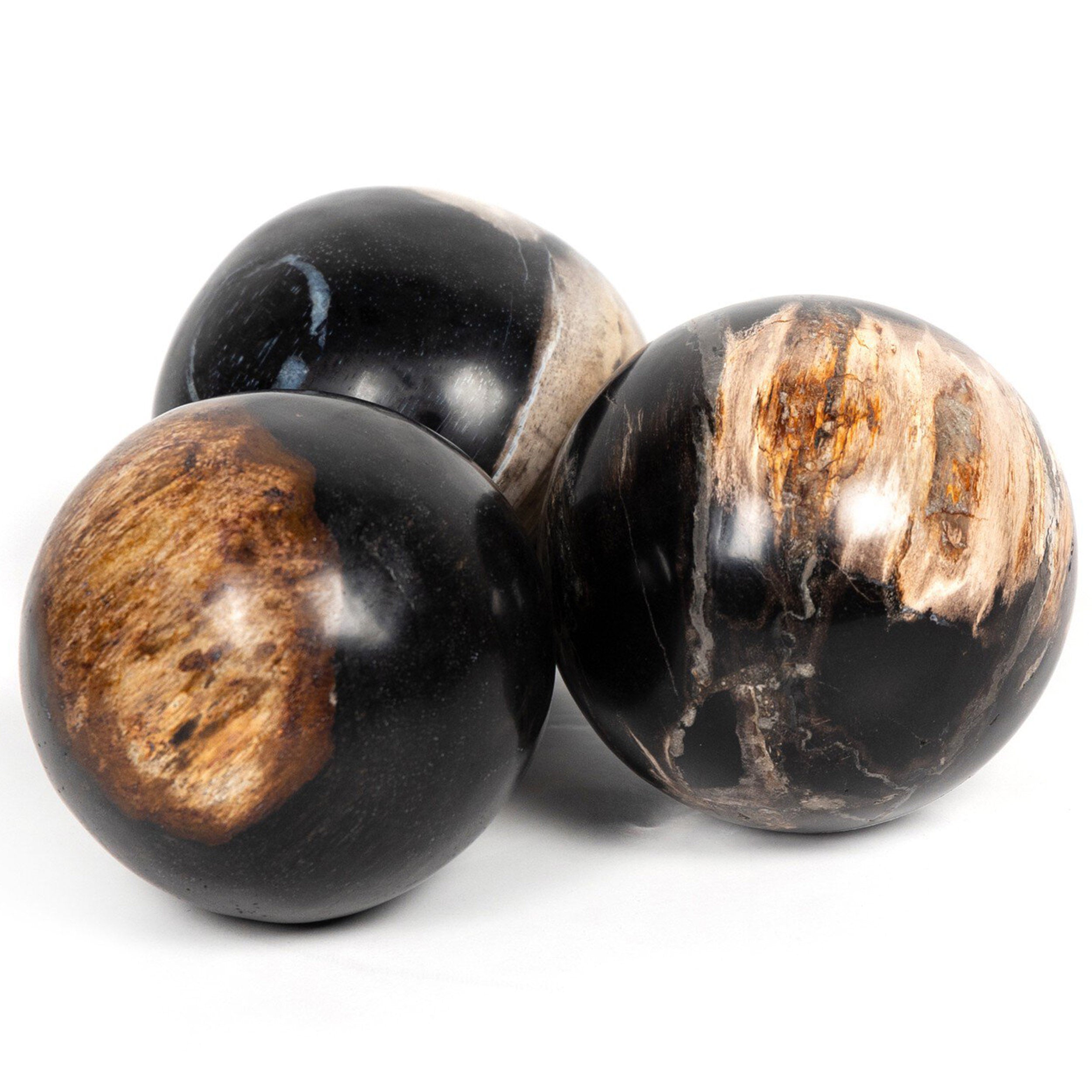 Petrified Wood Balls, Set Of 3, Dark Petrified Wood