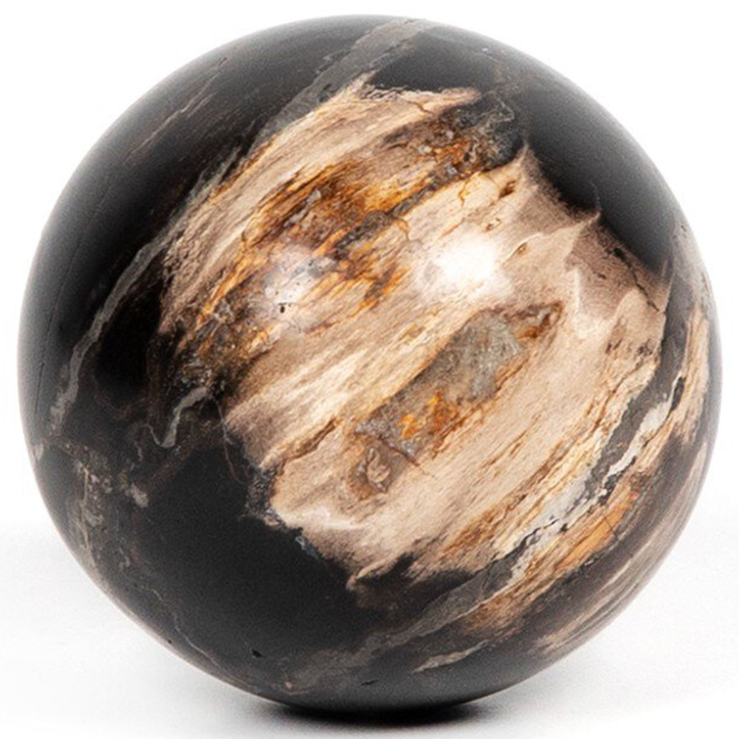 Petrified Wood Balls, Set Of 3, Dark Petrified Wood