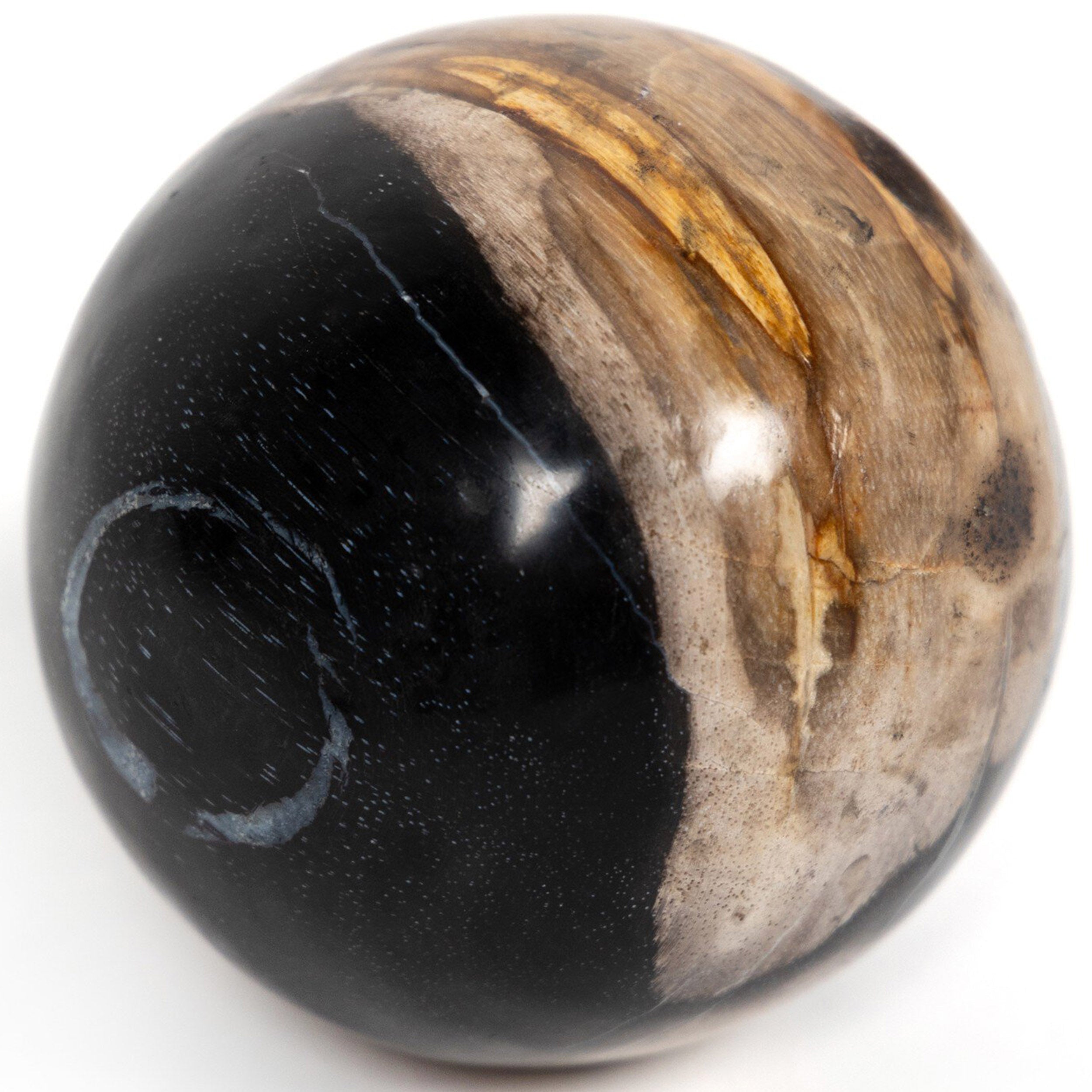 Petrified Wood Balls, Set Of 3, Dark Petrified Wood