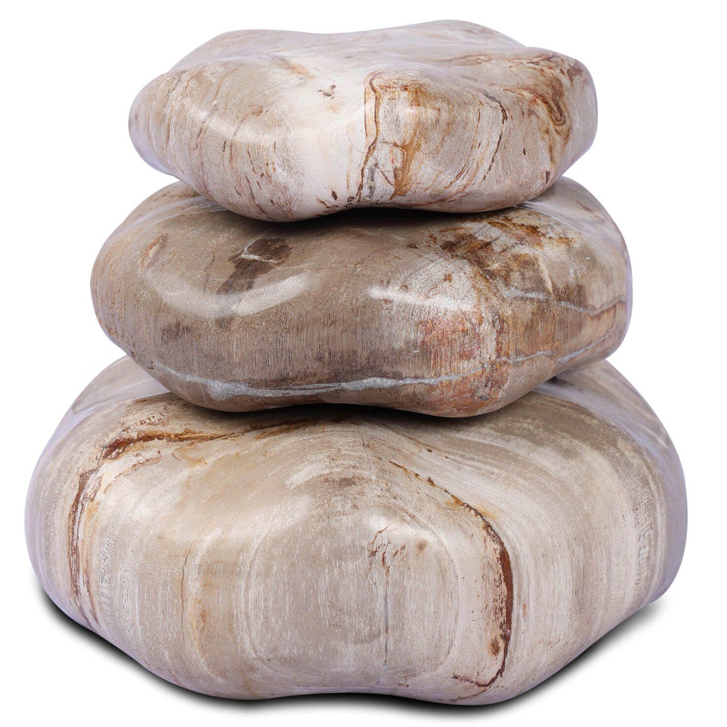 Petrified Wood Organic Sculpture, Set of 3, Light Petrified Wood