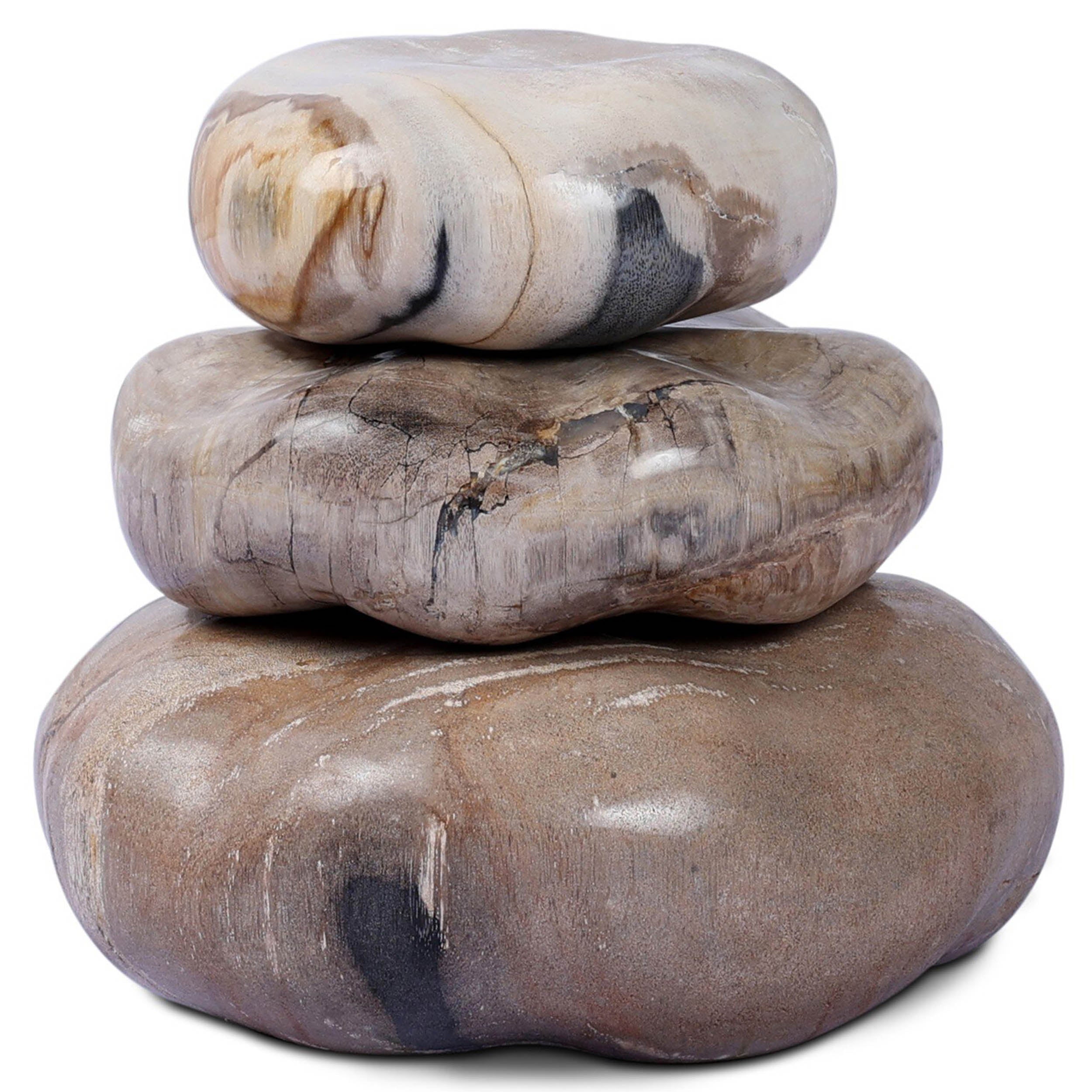 Petrified Wood Organic Sculpture, Set of 3, Light Petrified Wood