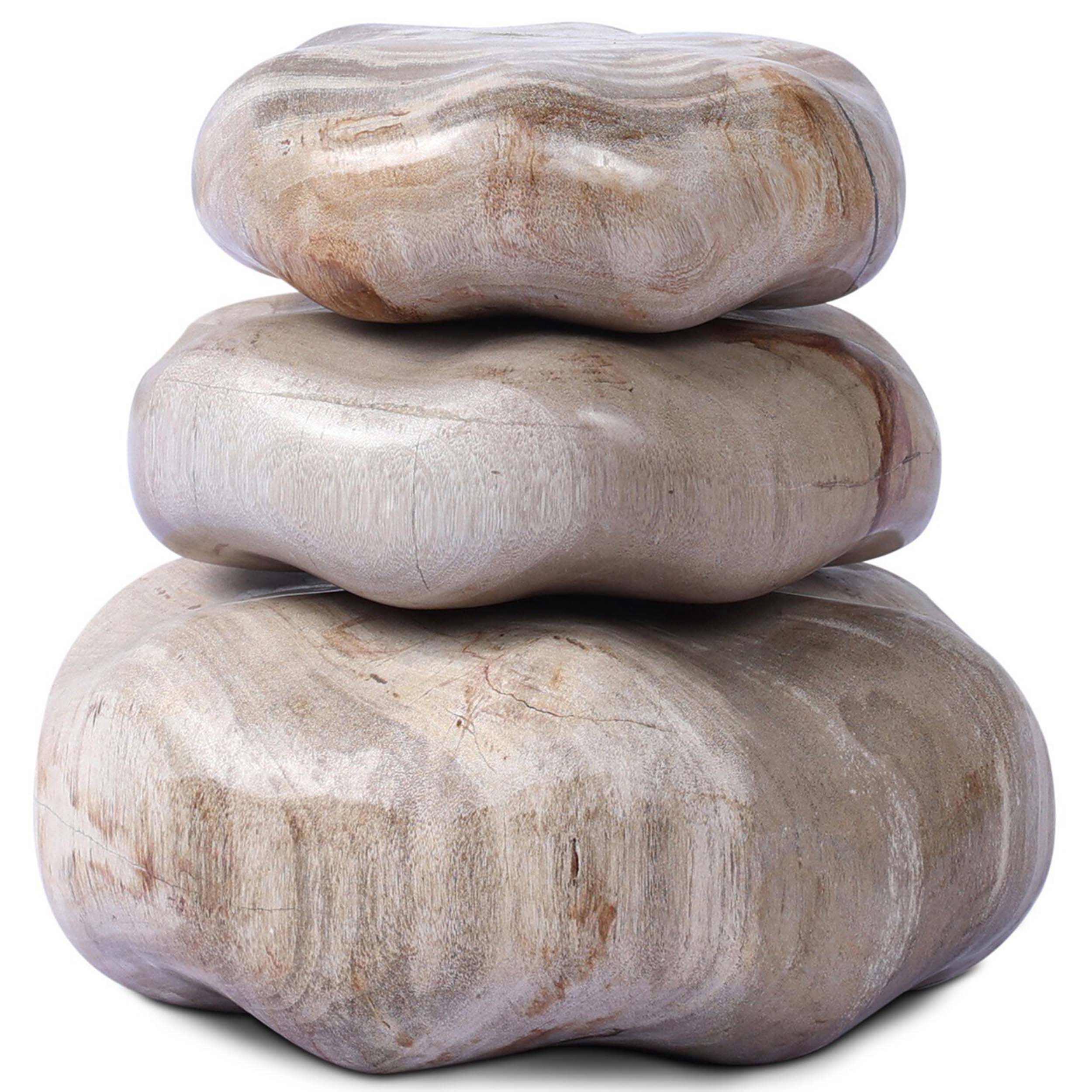 Petrified Wood Organic Sculpture, Set of 3, Light Petrified Wood