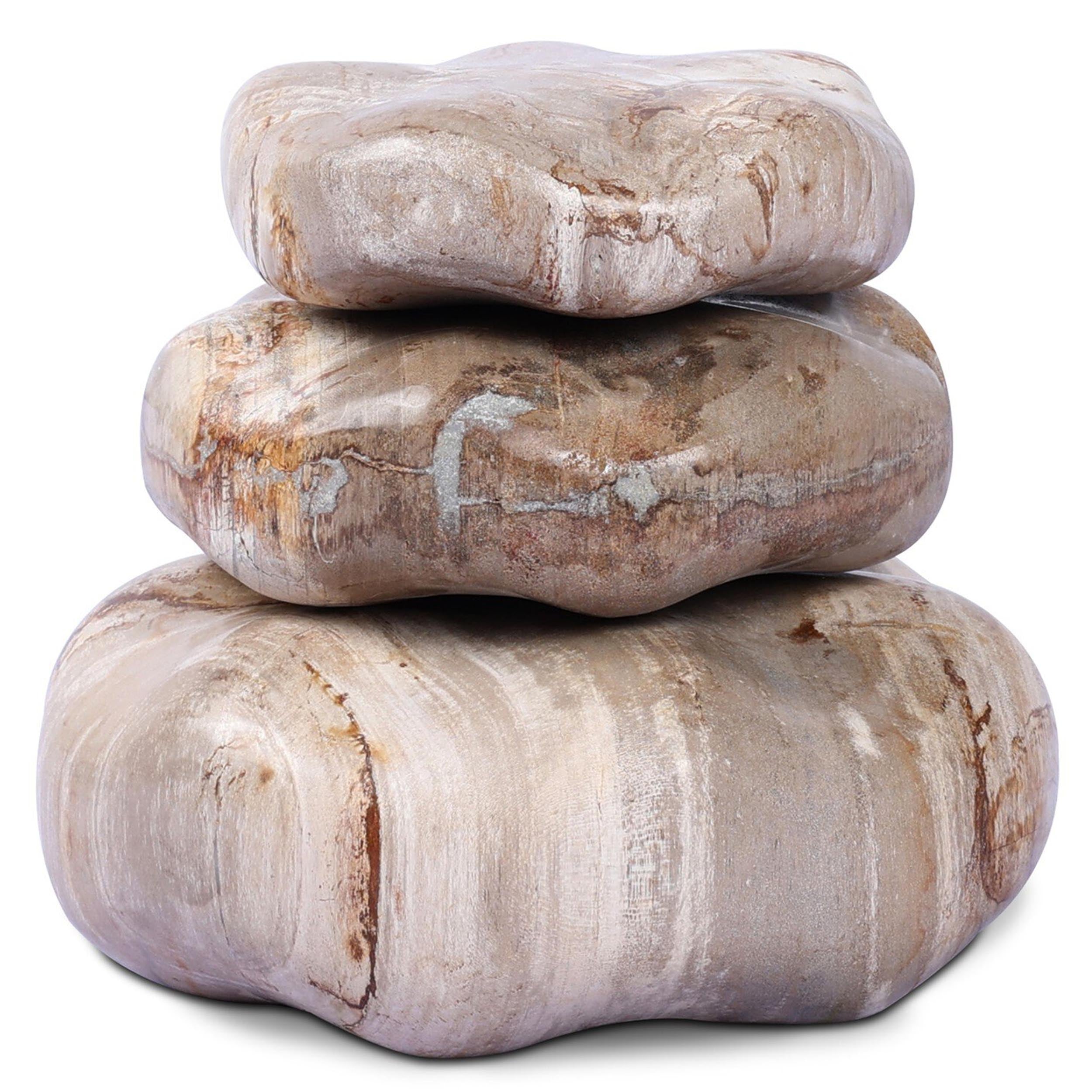 Petrified Wood Organic Sculpture, Set of 3, Light Petrified Wood