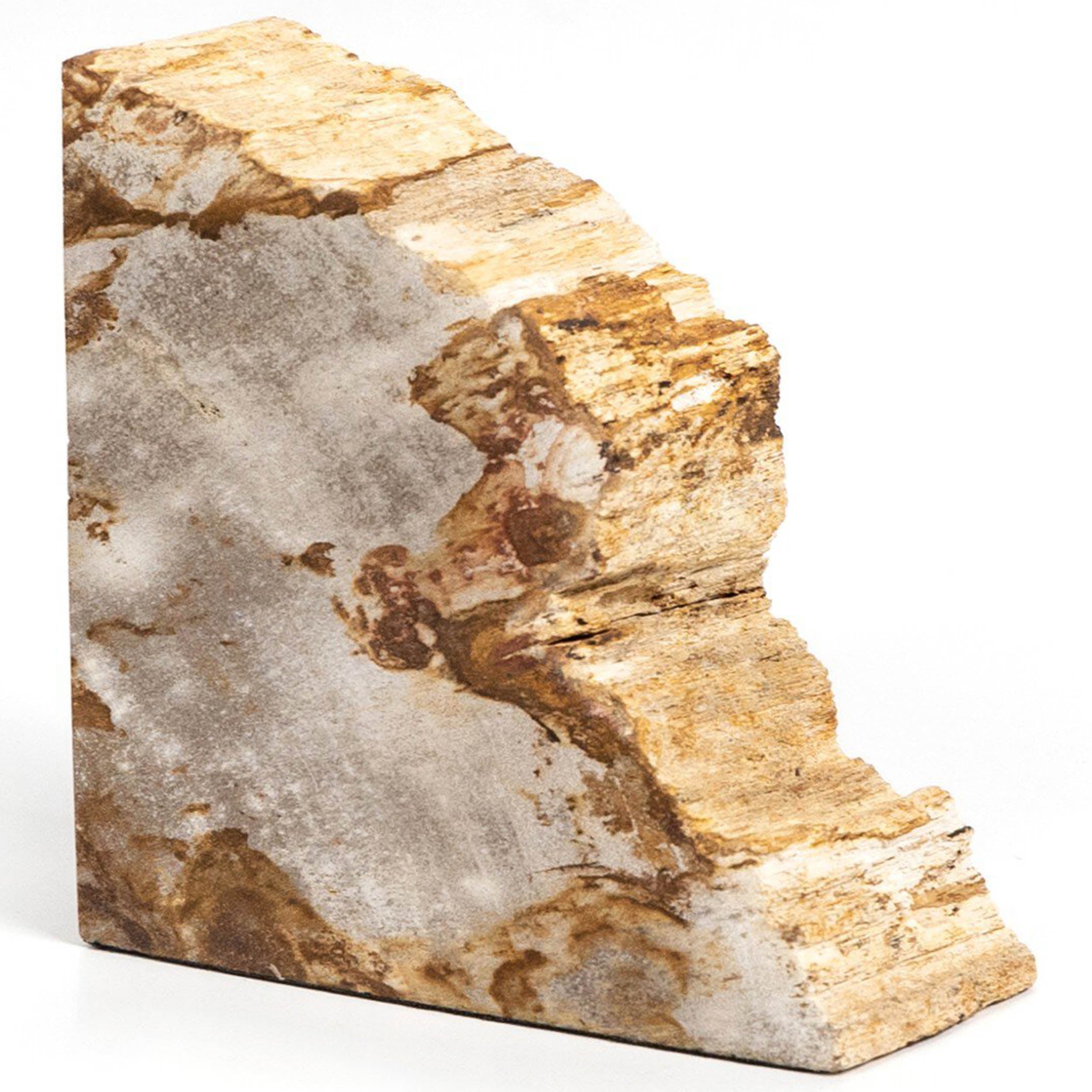 Petrified Wood Book Ends, Light Petrified Wood