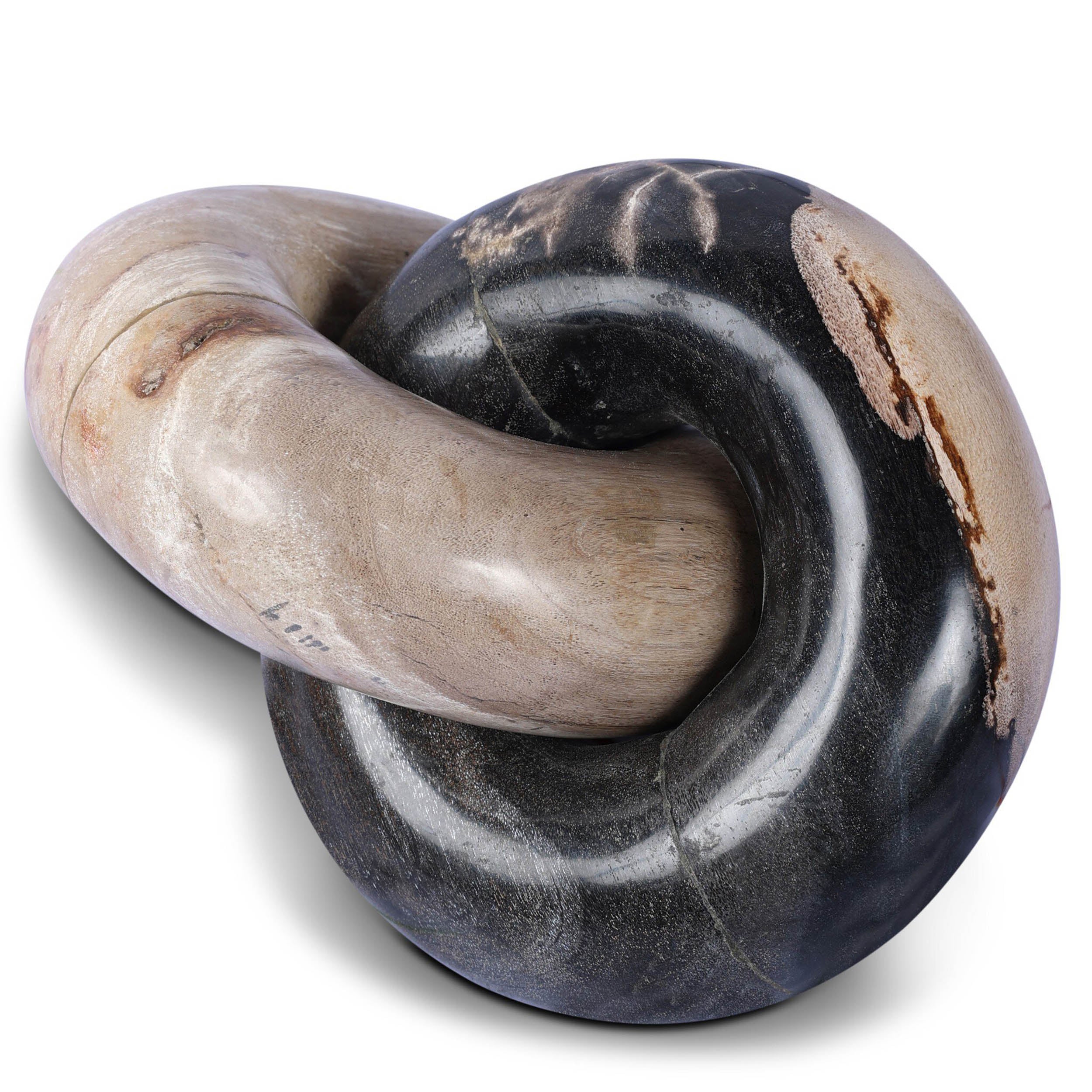 Petrified Wood Knot, Dark Petrified Wood