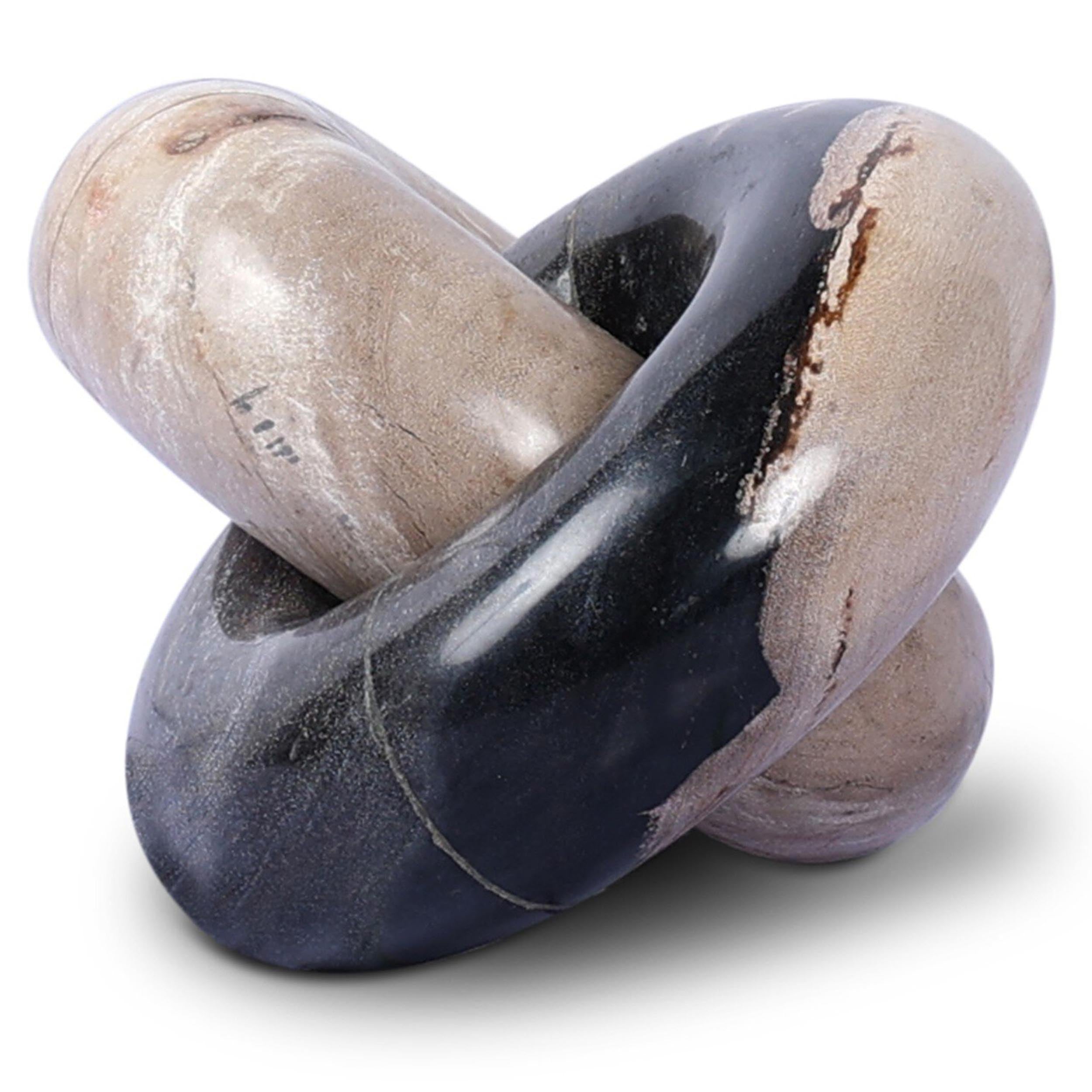 Petrified Wood Knot, Dark Petrified Wood