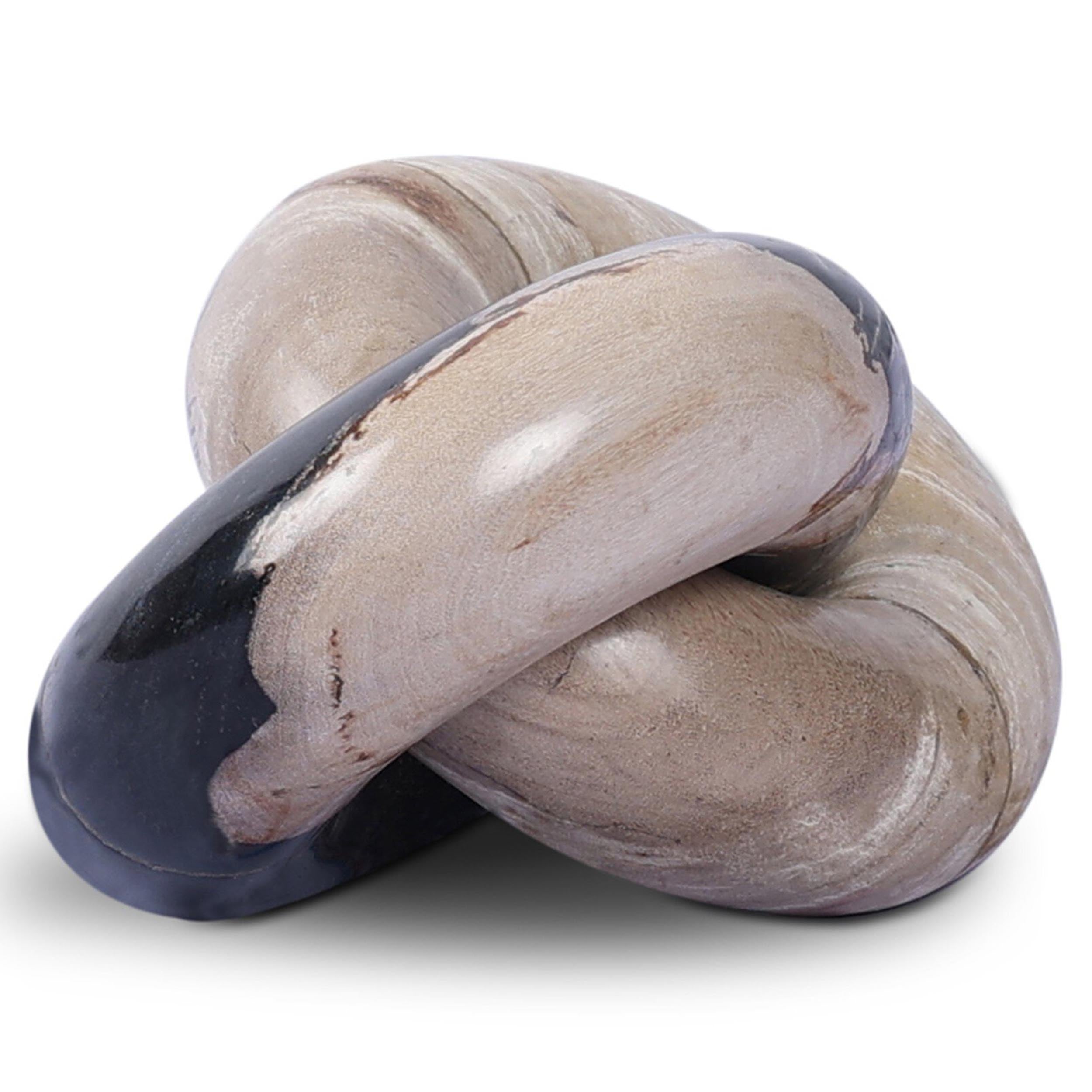 Petrified Wood Knot, Dark Petrified Wood