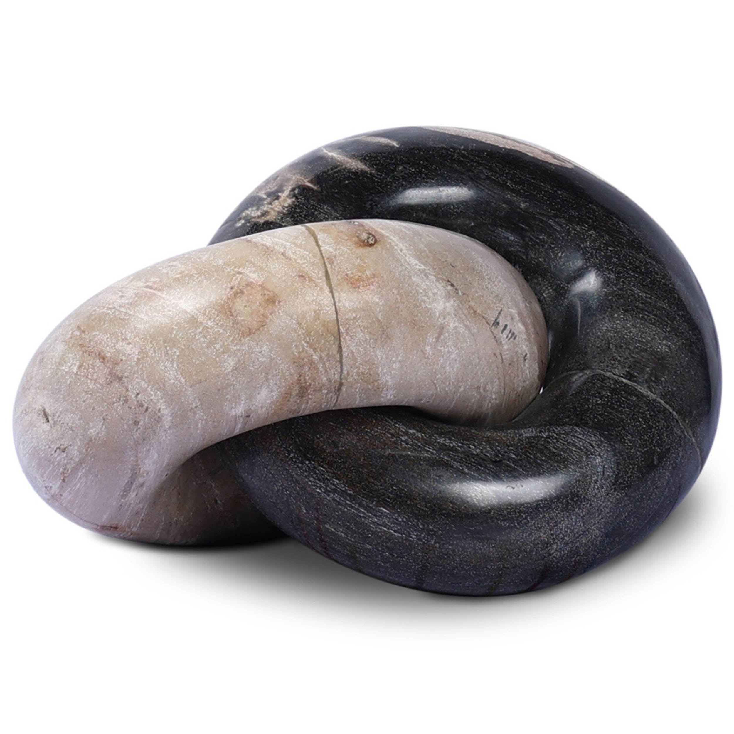 Petrified Wood Knot, Dark Petrified Wood