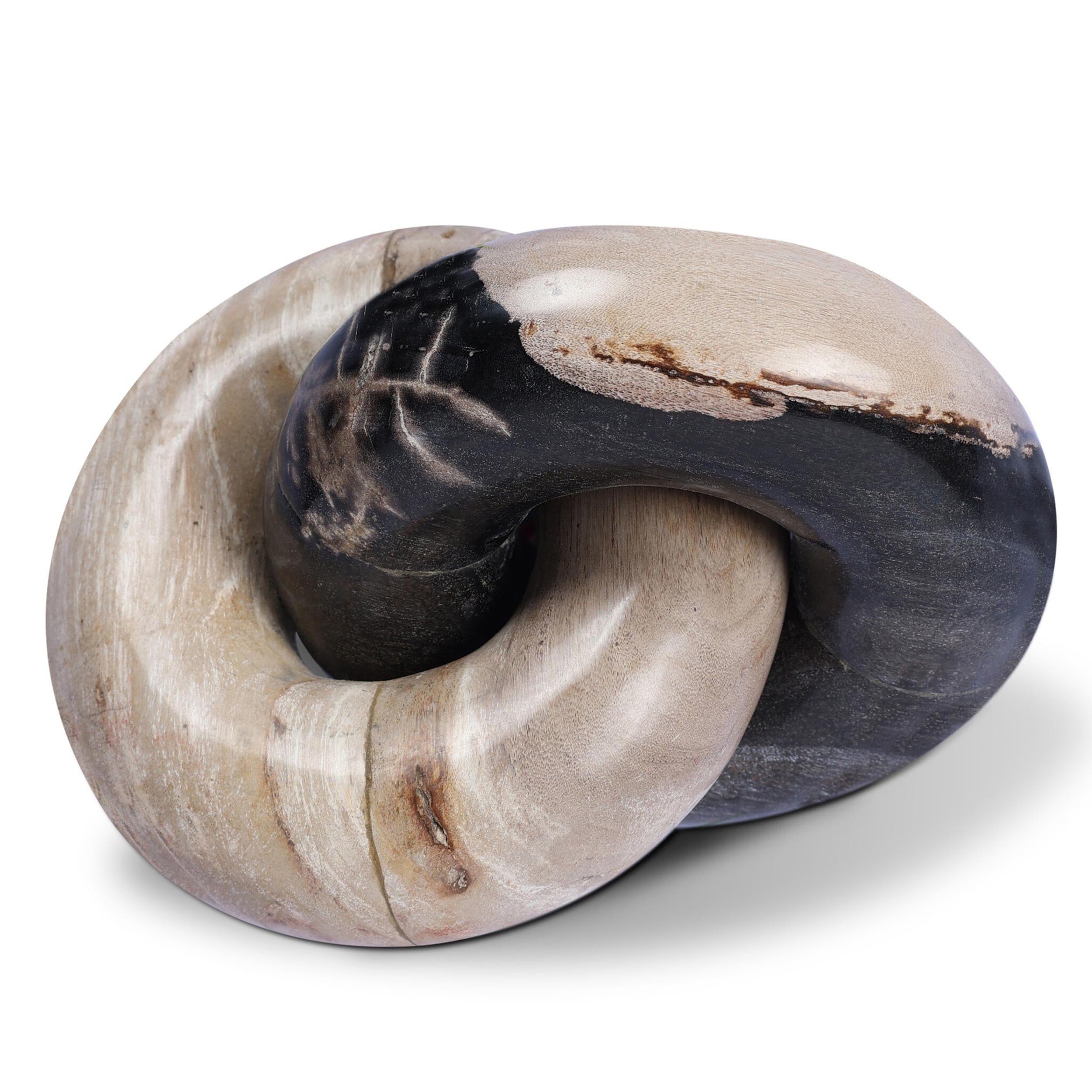 Petrified Wood Knot, Dark Petrified Wood