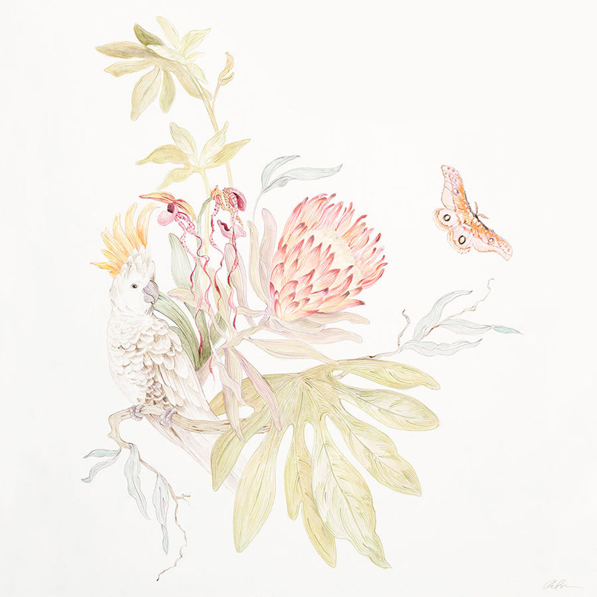 A Tropical Menagerie I