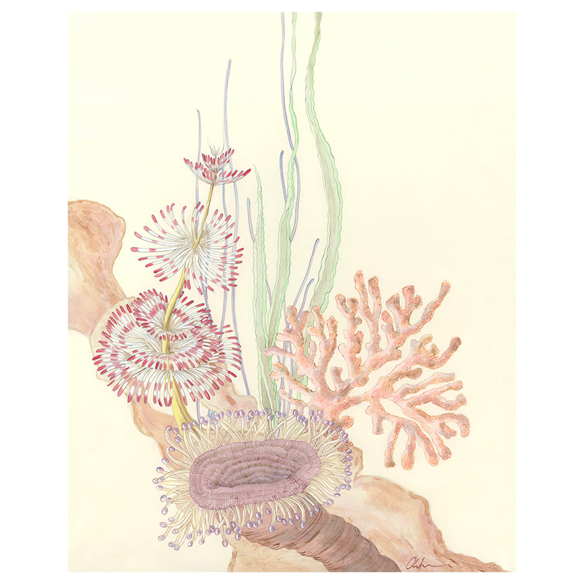 Love Your Anemones