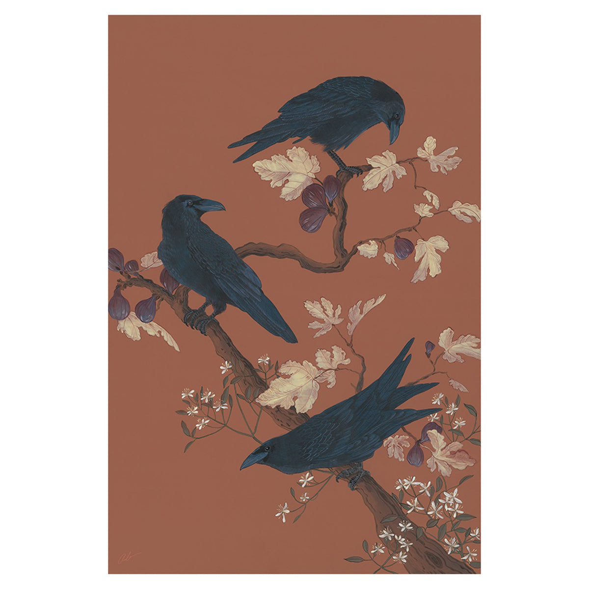 A Raven Review