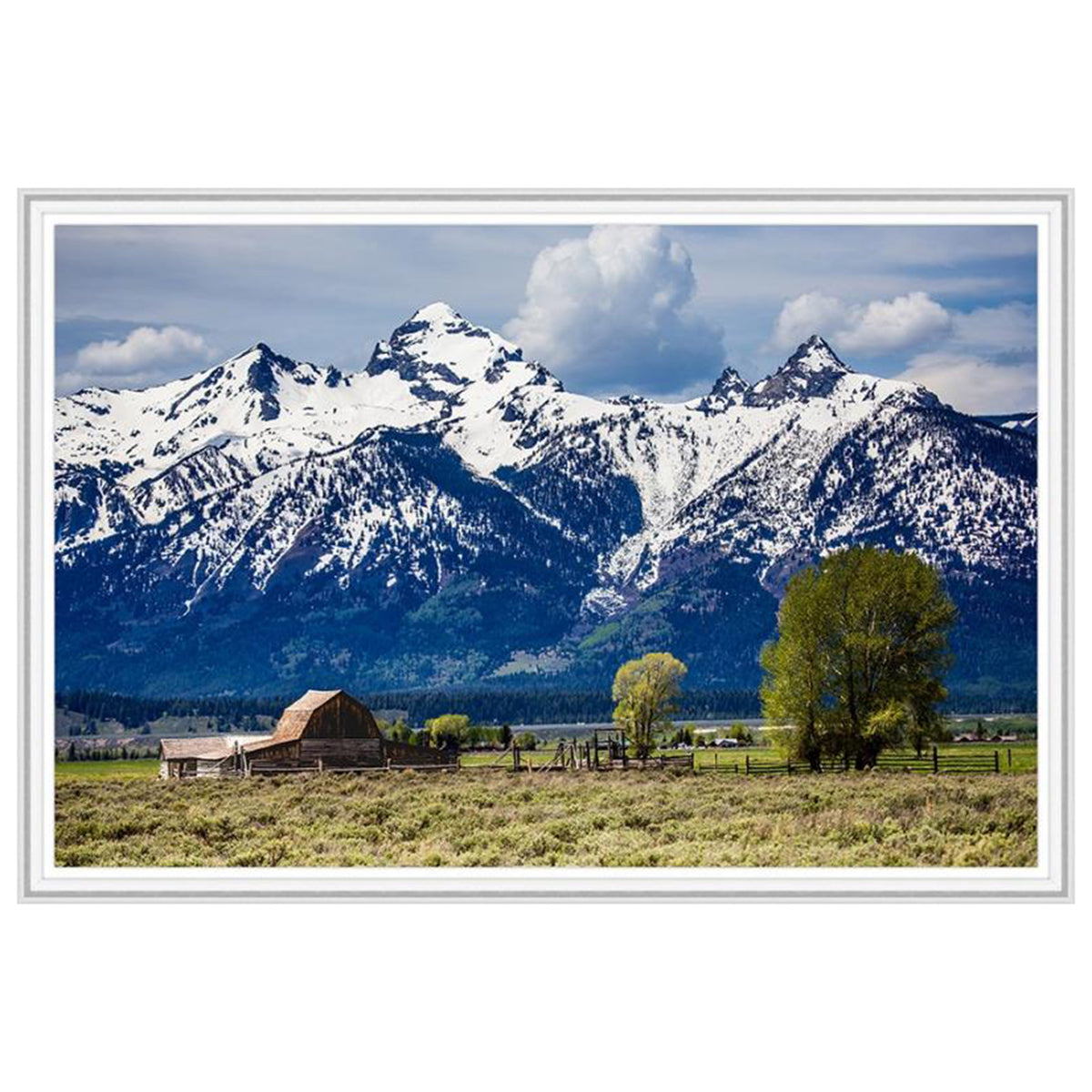 Snow Capped Teton's Mormon Row