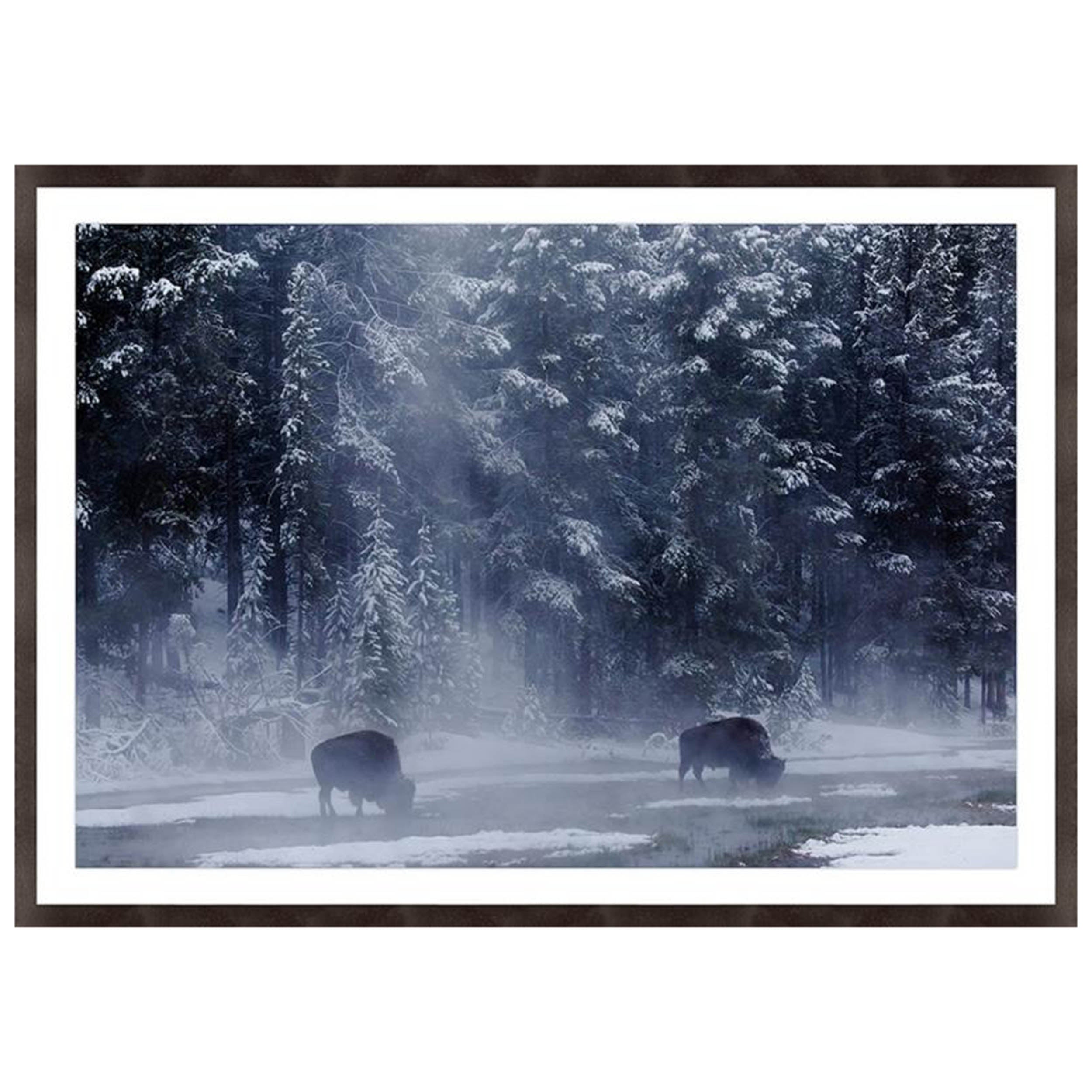 Thermal Grazing II