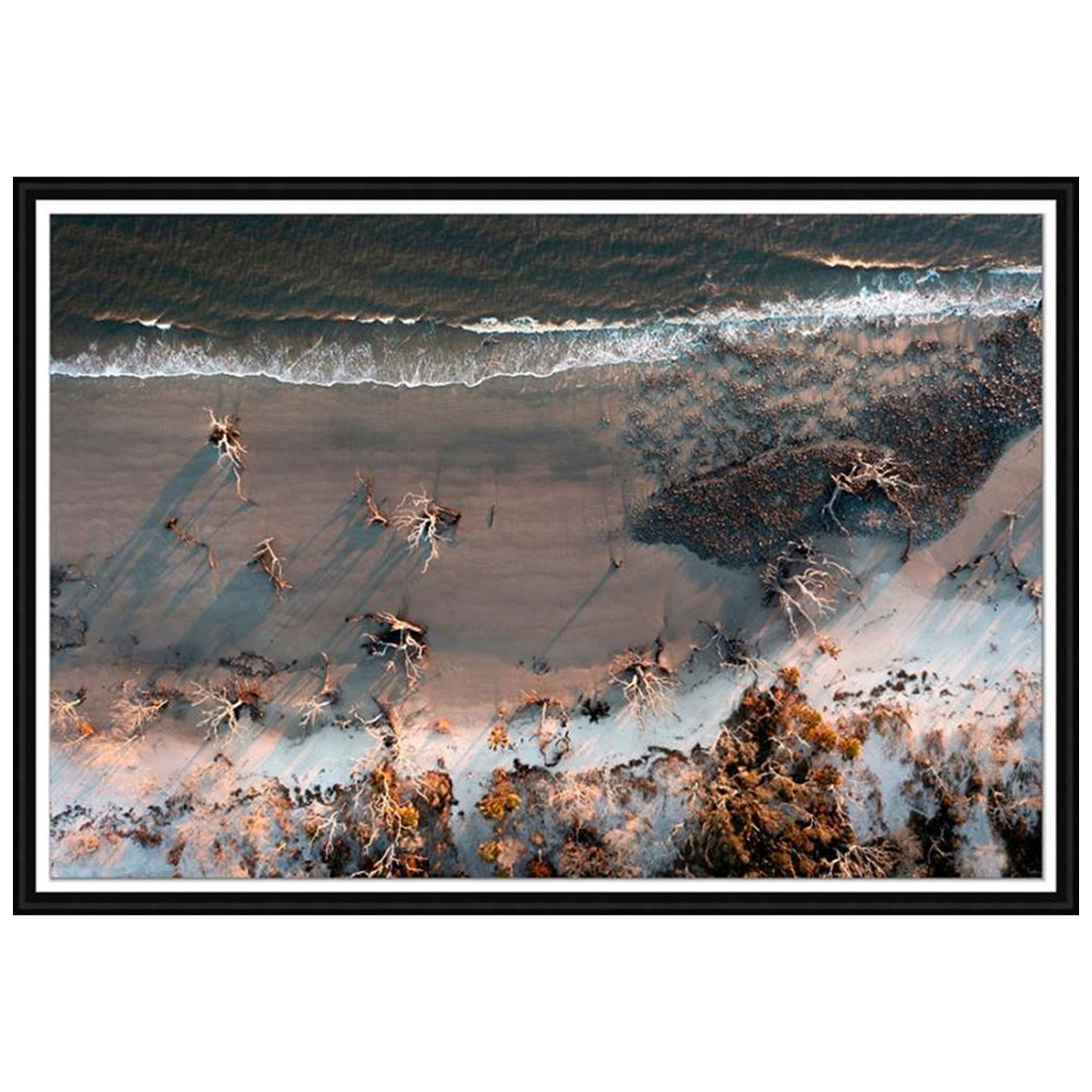 Driftwood Beach