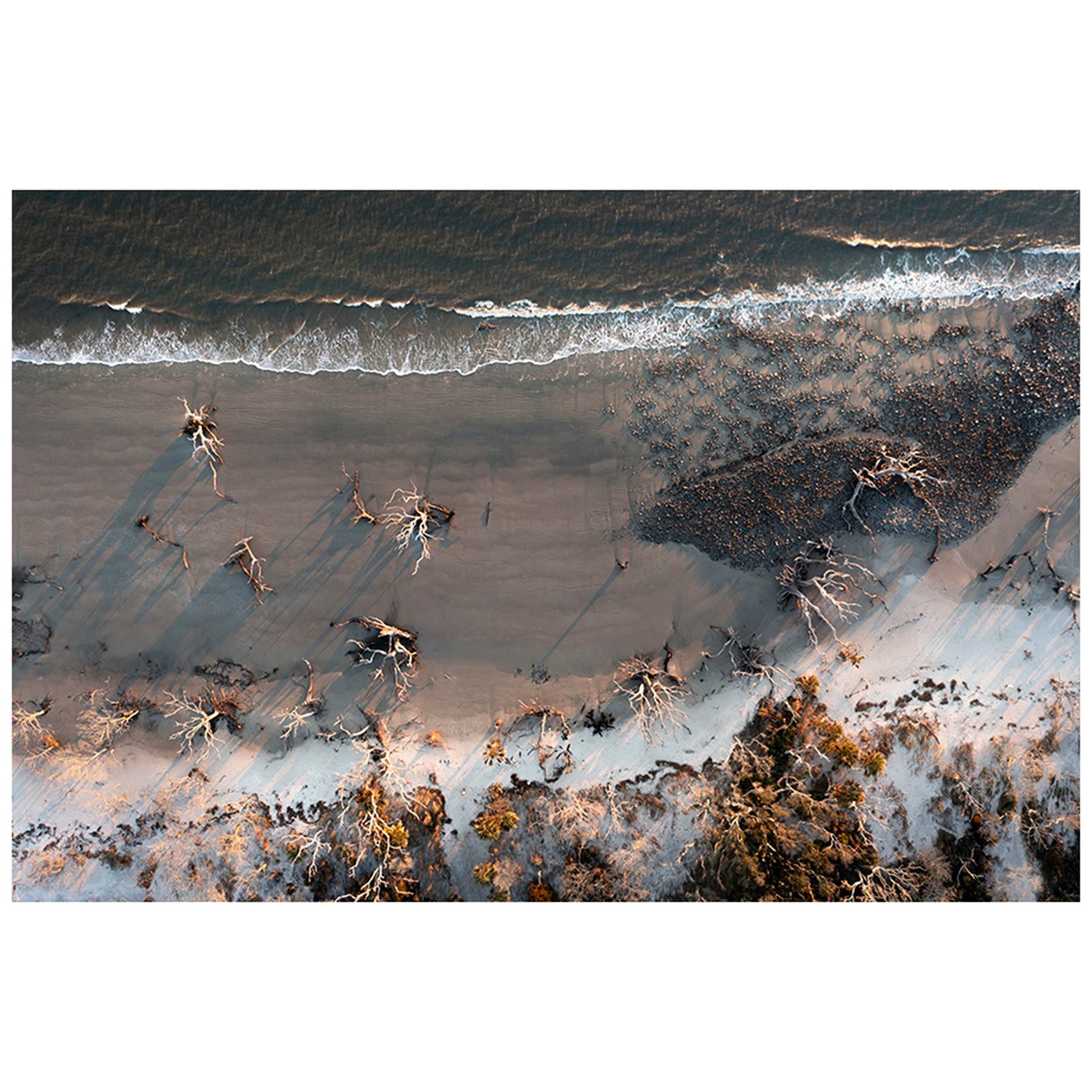 Driftwood Beach