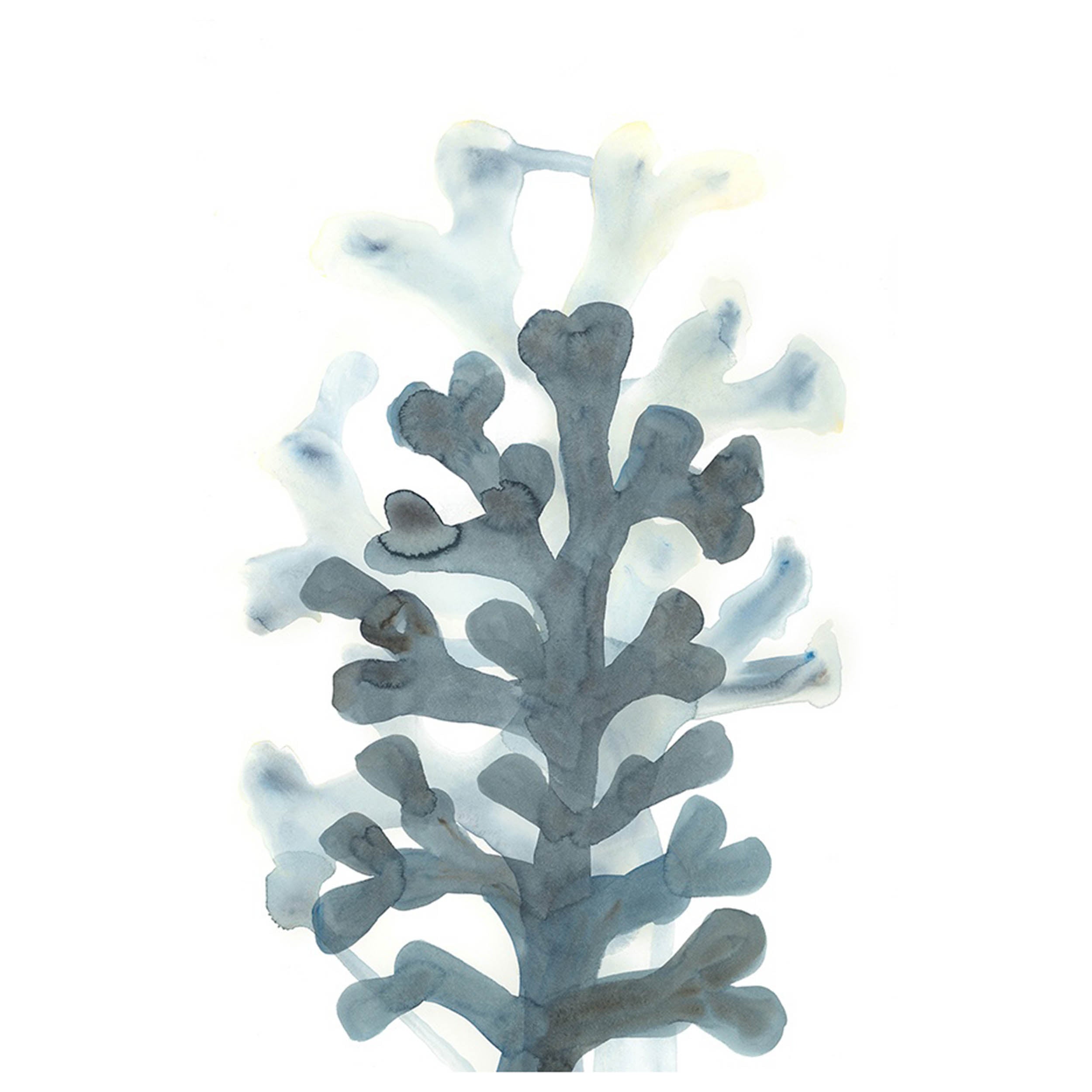 Blue in Coastal I