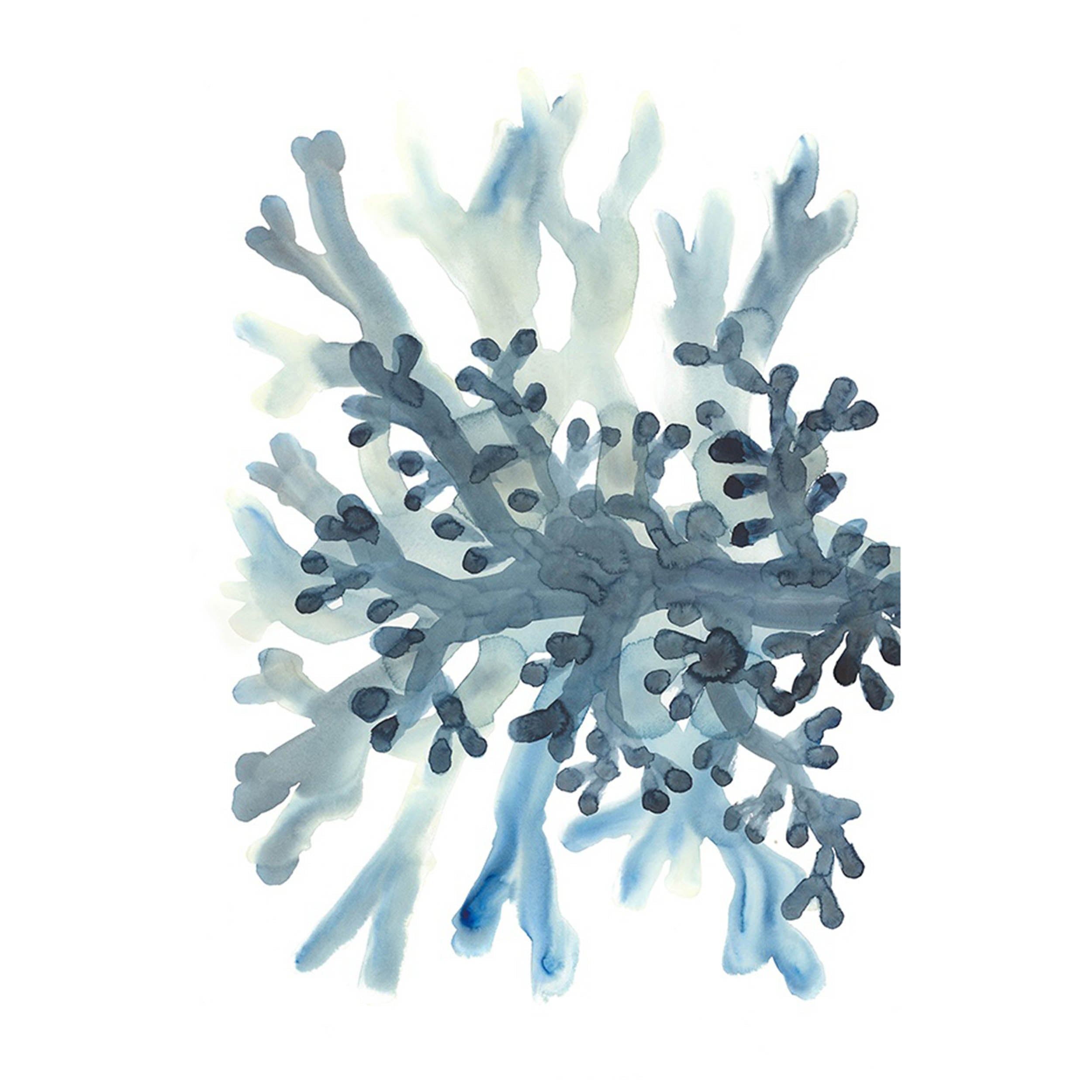 Blue in Coastal II