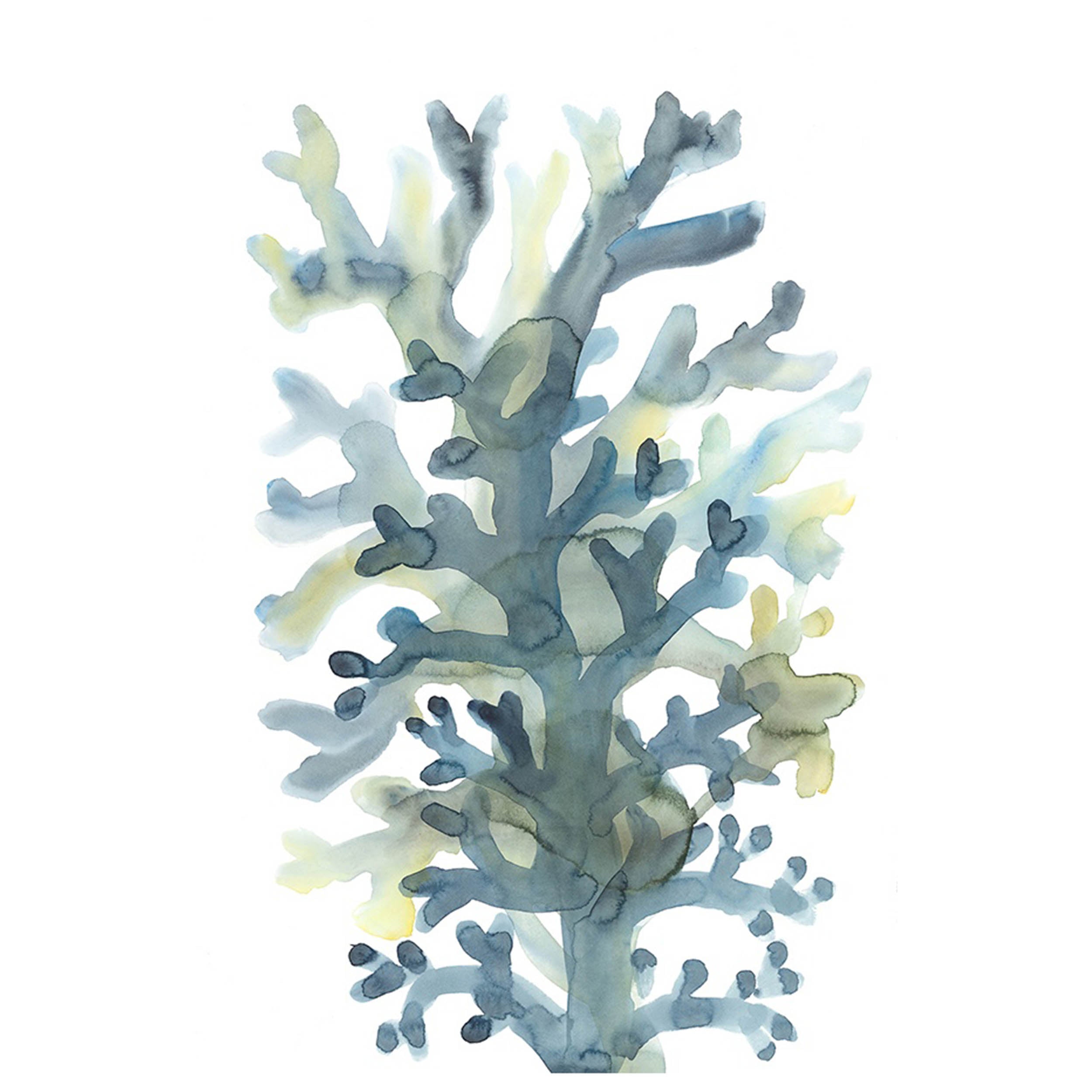 Blue in Coastal III