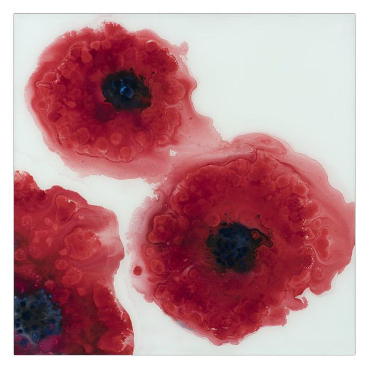 Poppies I