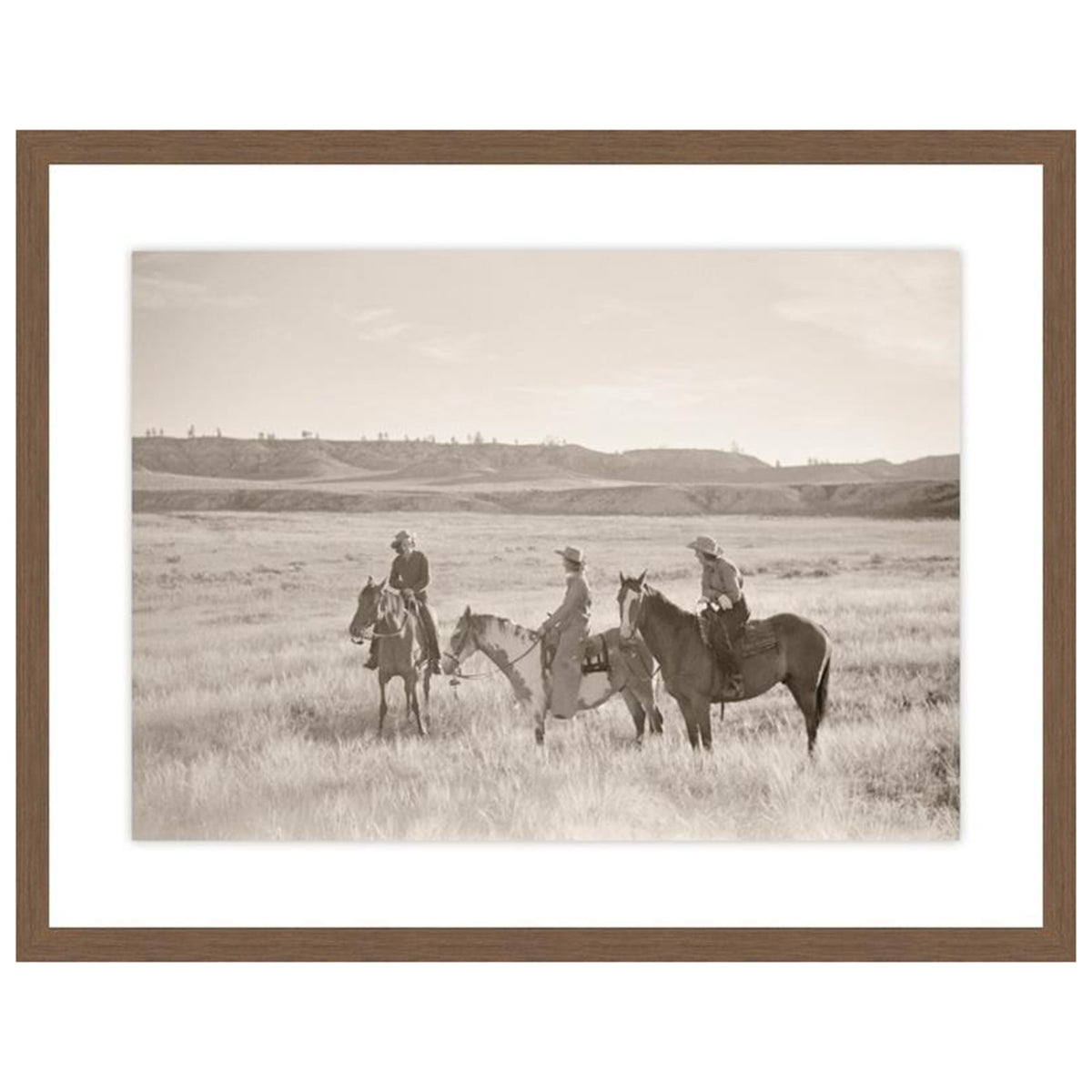 Ladies on Horses