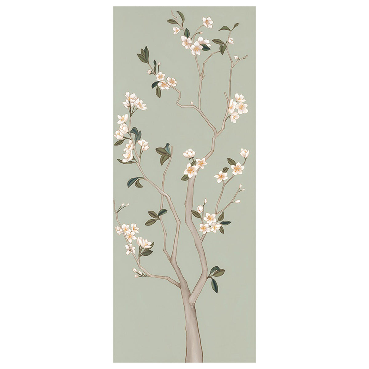 Magnolia Tree I
