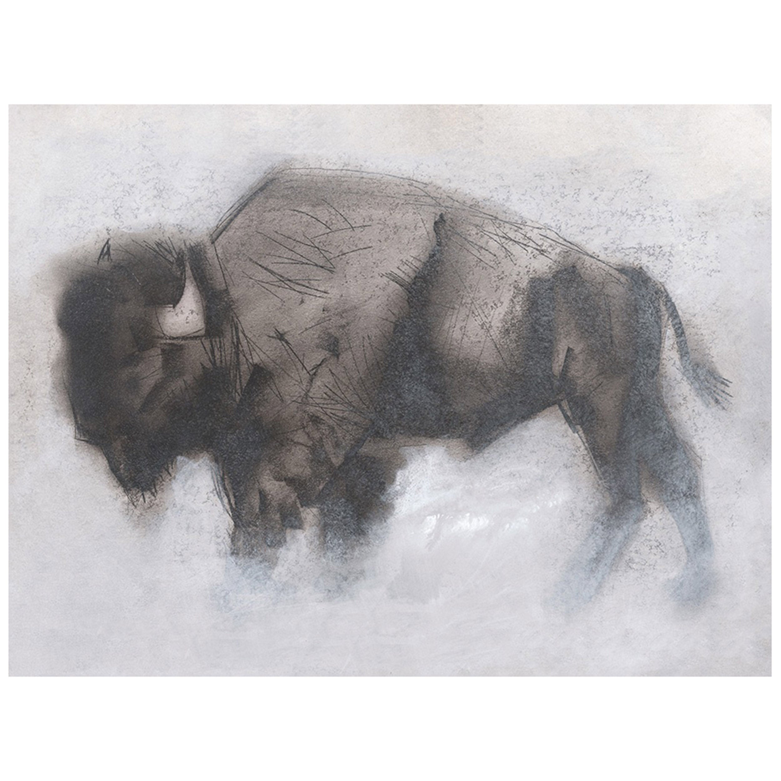 Big Bison