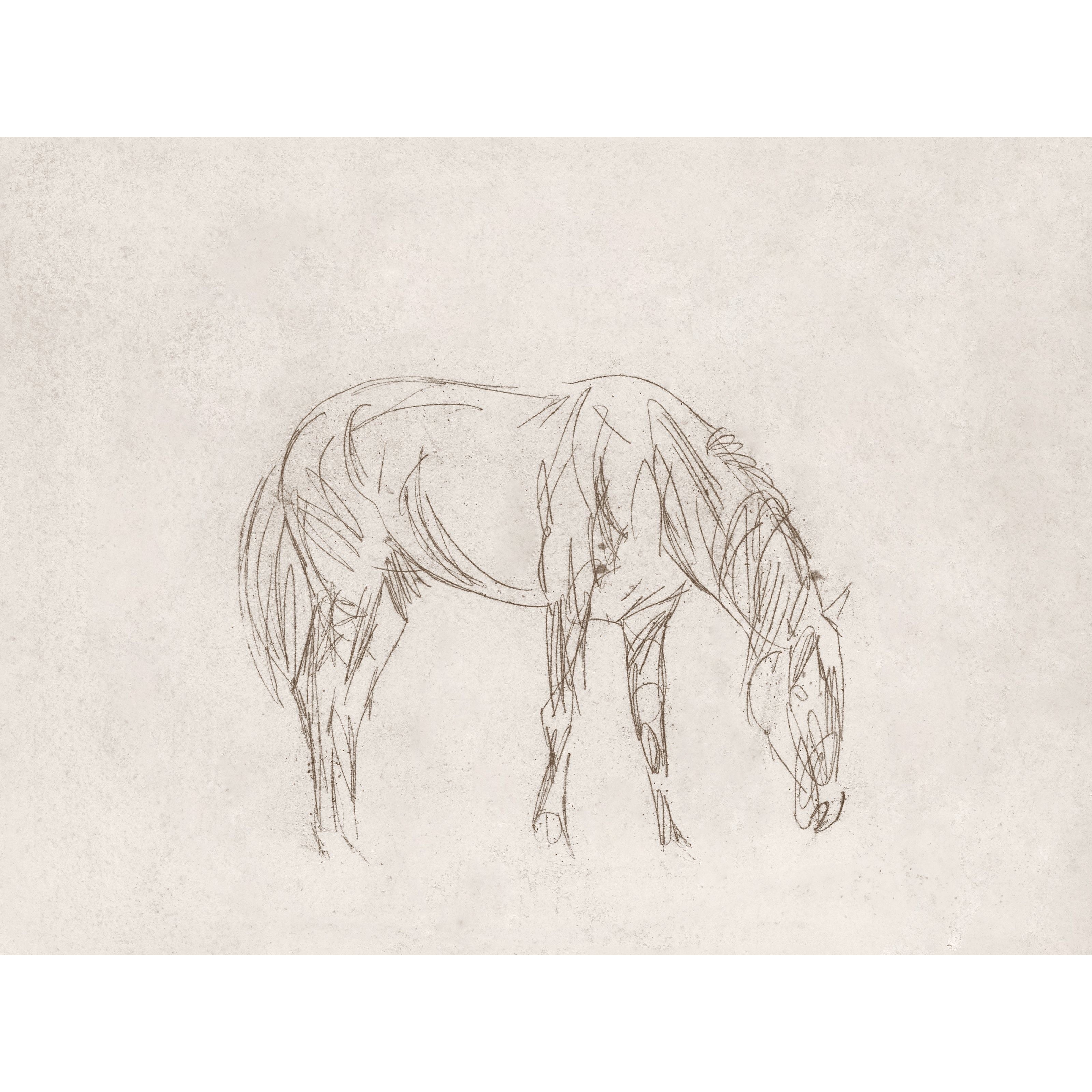 Equine Impression I