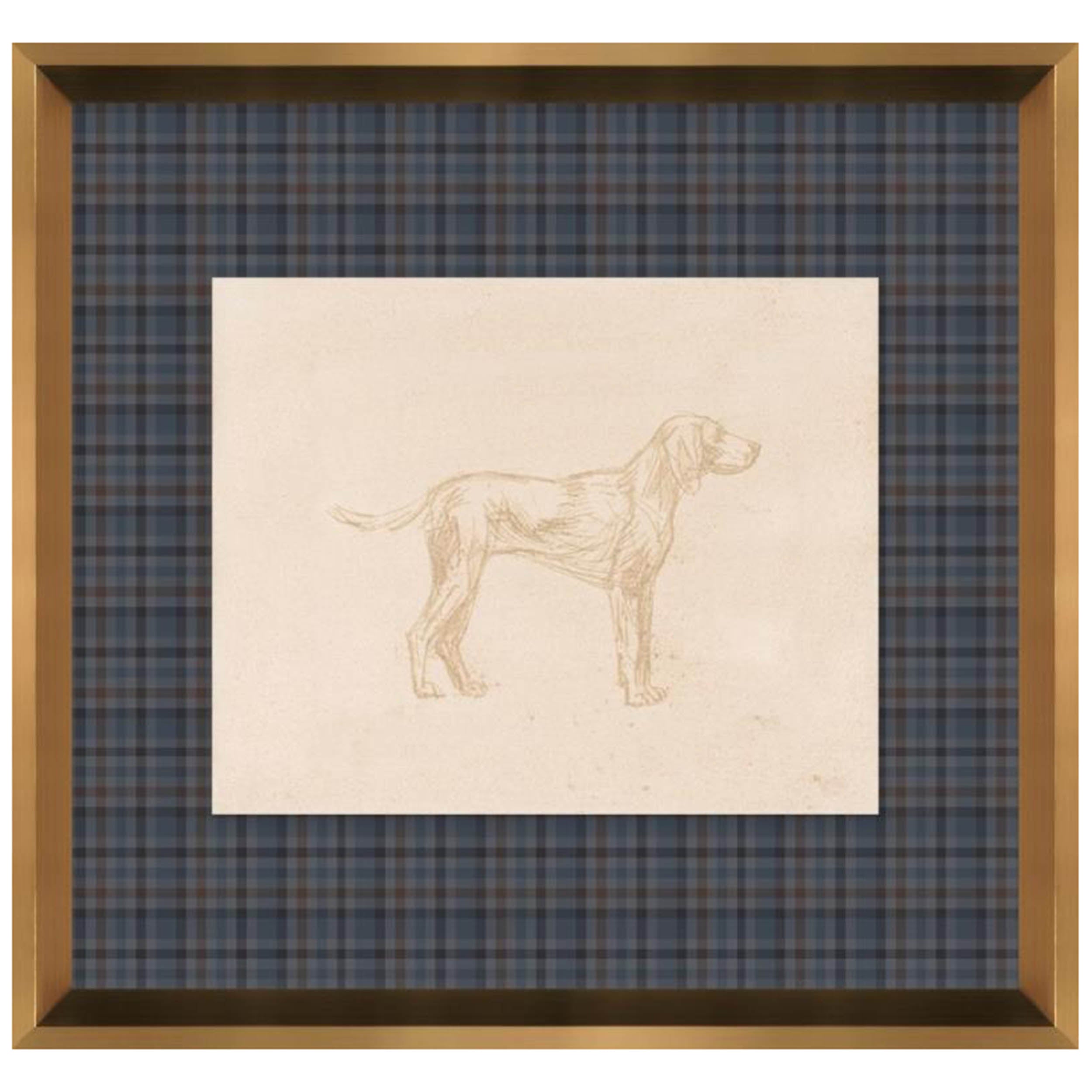 Canine Impression III