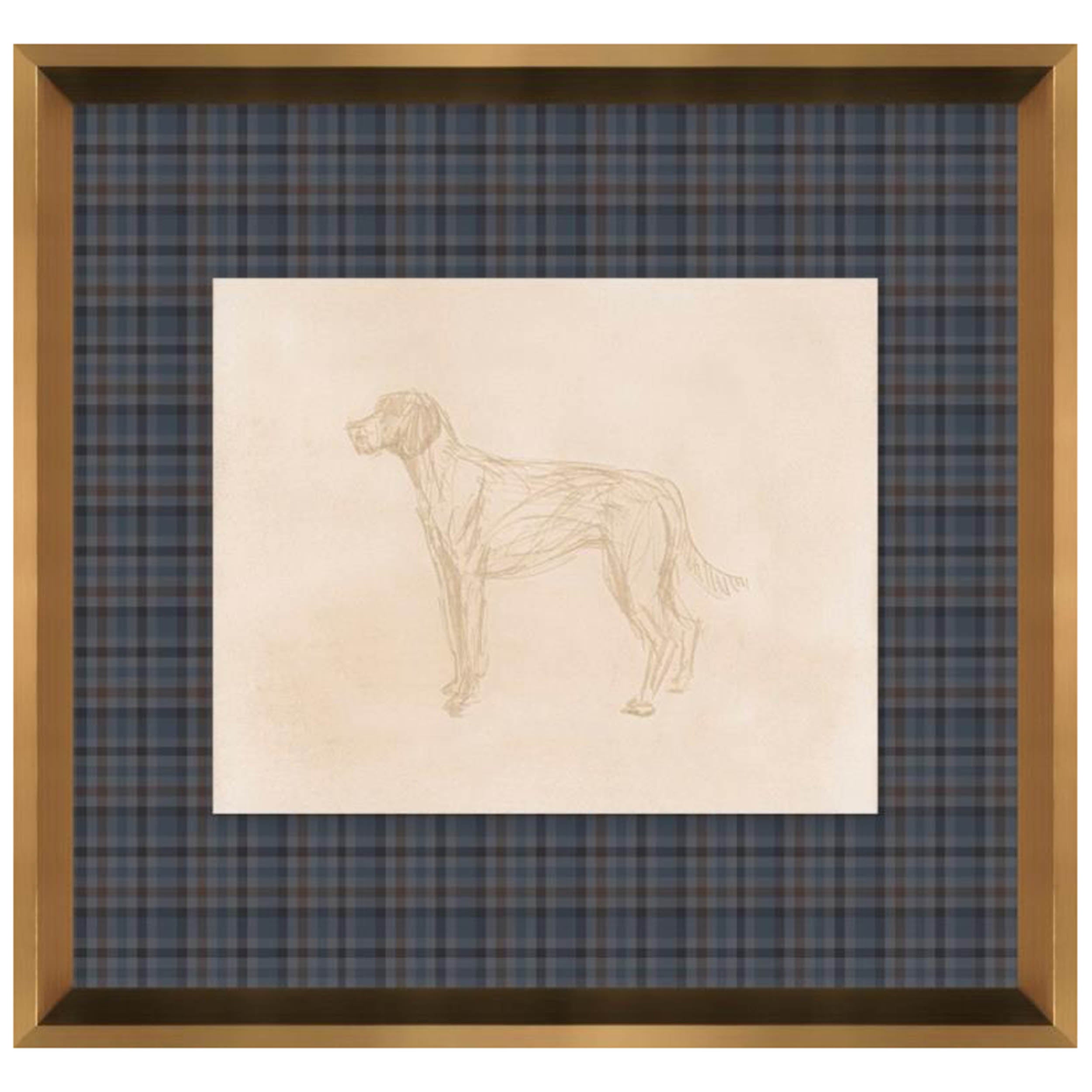 Canine Impression IV