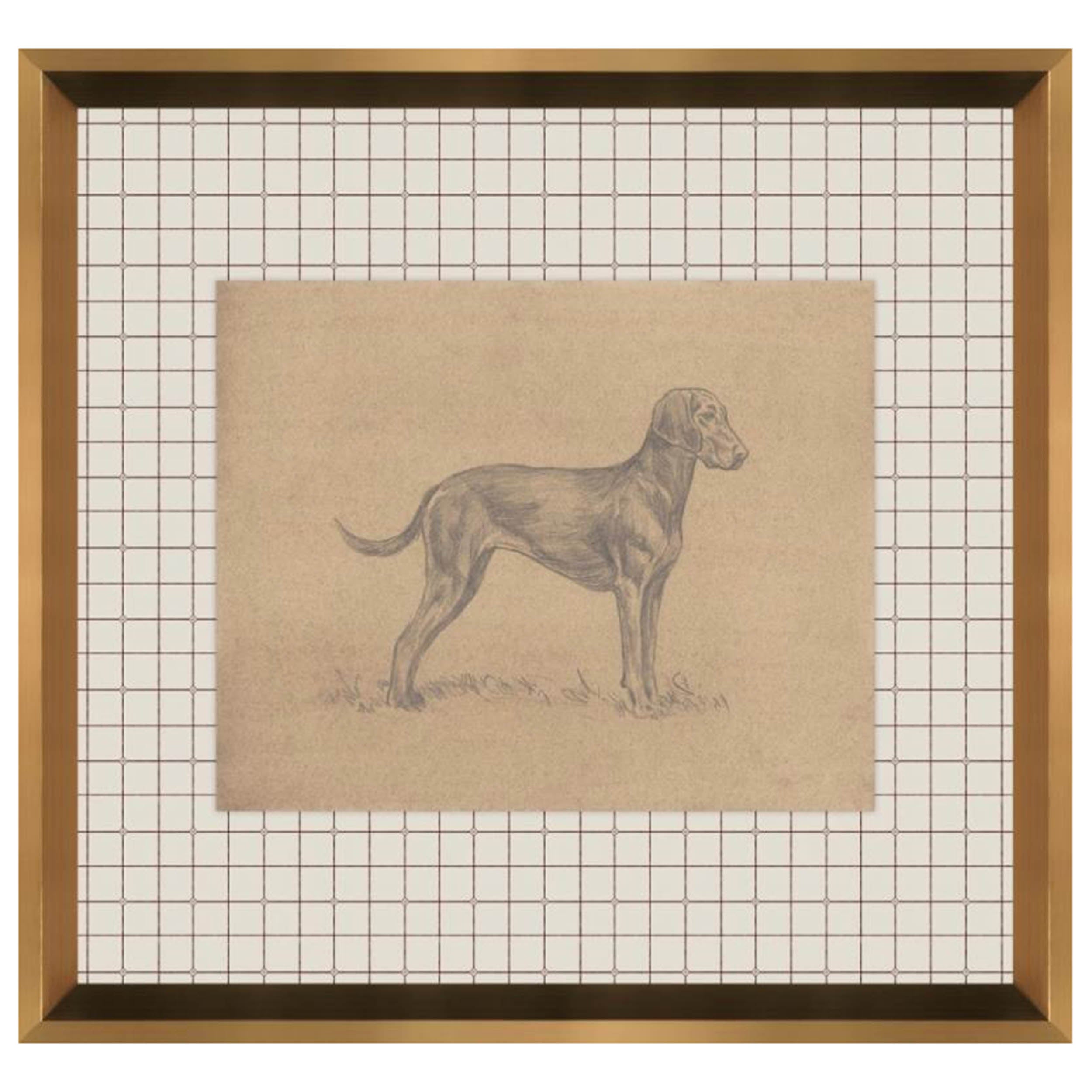 Canine Impression V