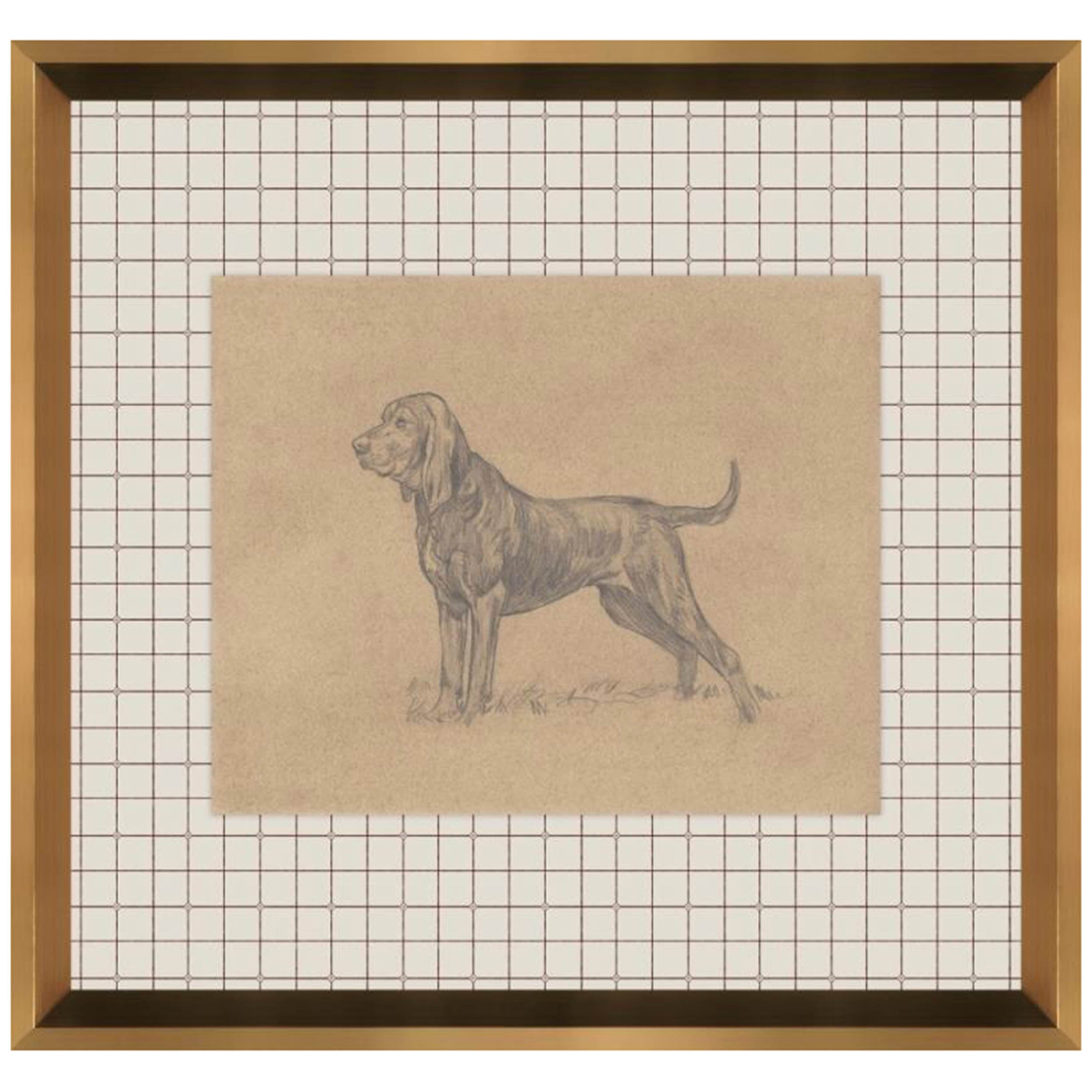 Canine Impression VI
