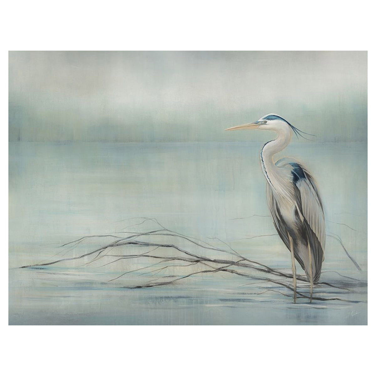In the Wetlands