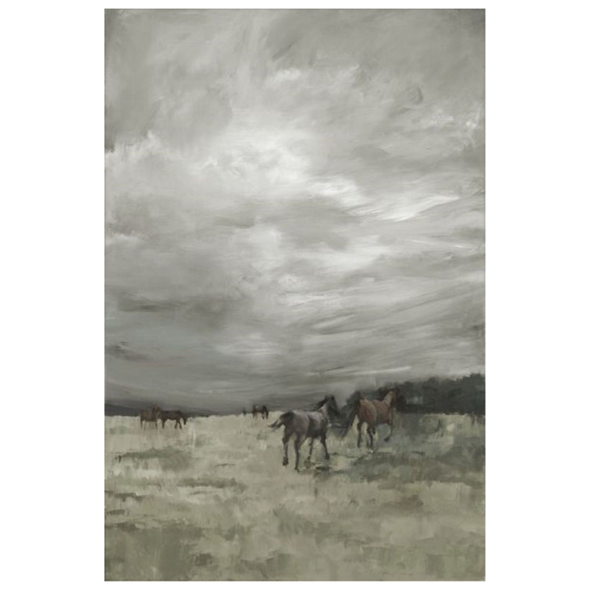 New Lands