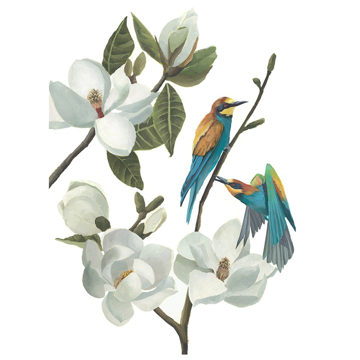 Birds with Magnolias III