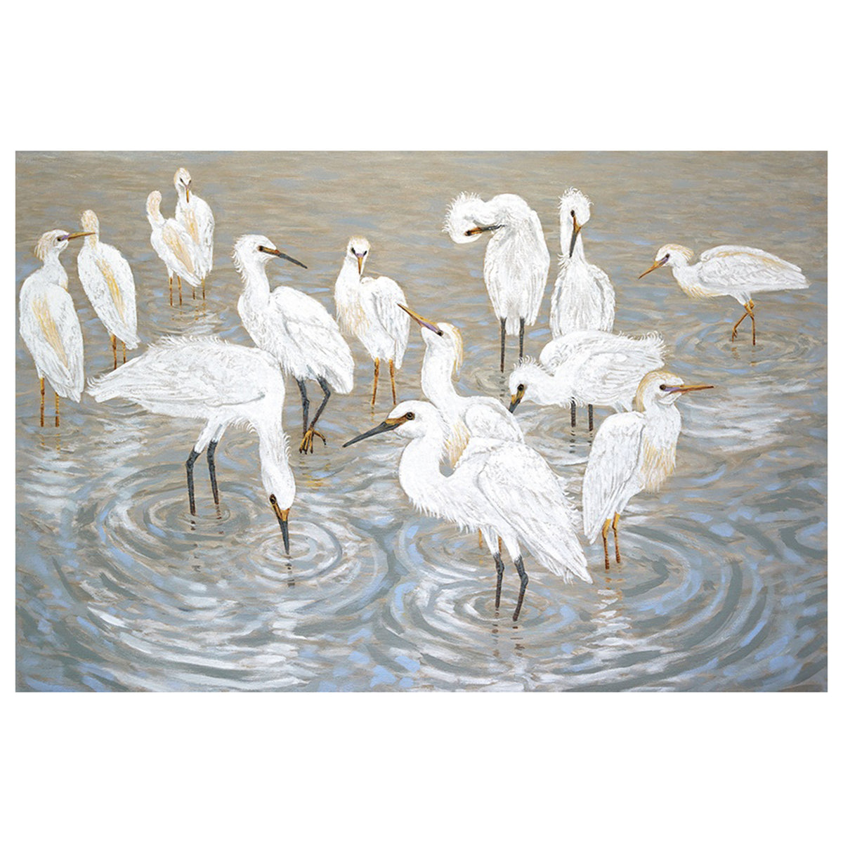 Herons and Egrets