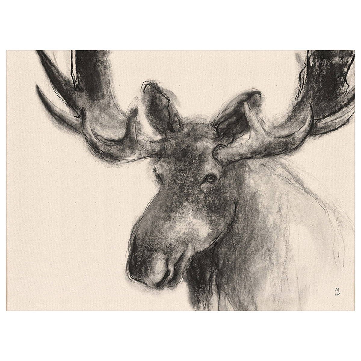 Wild Sketch Smile
