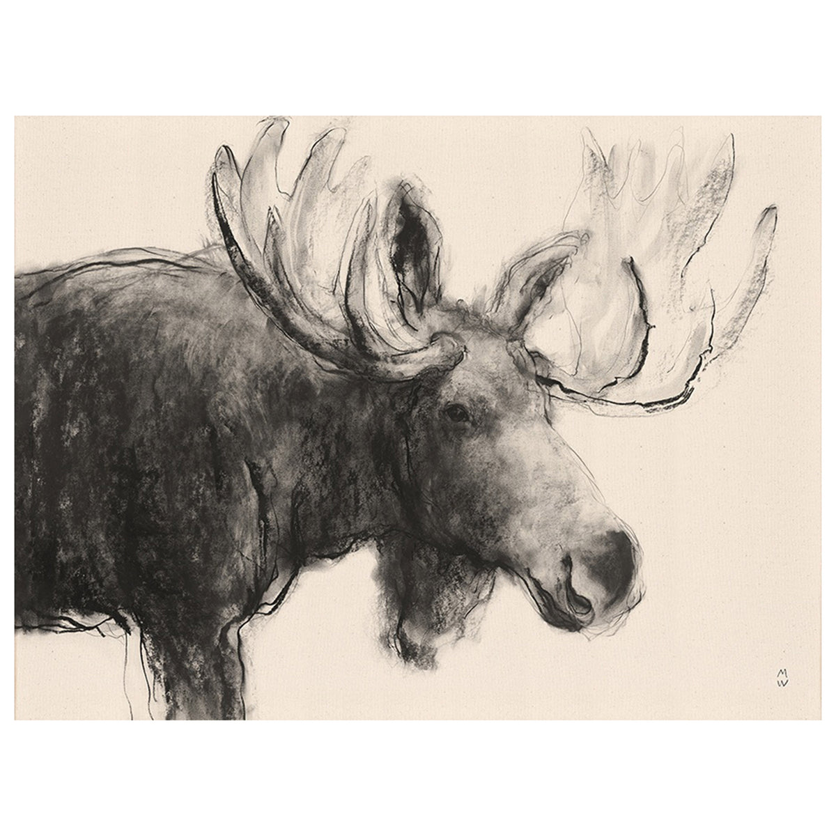 Wild Sketch Pause