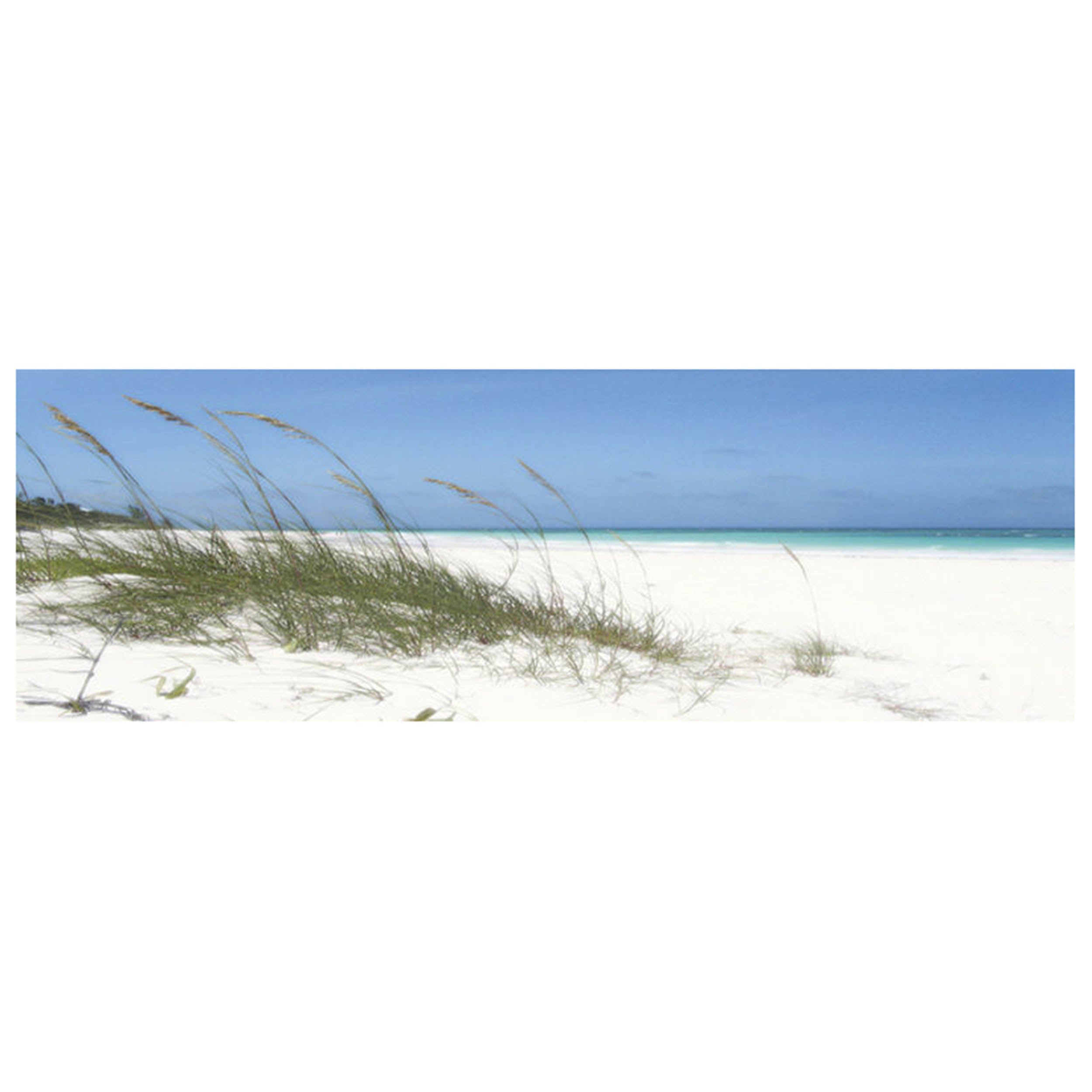 Dune Grasses