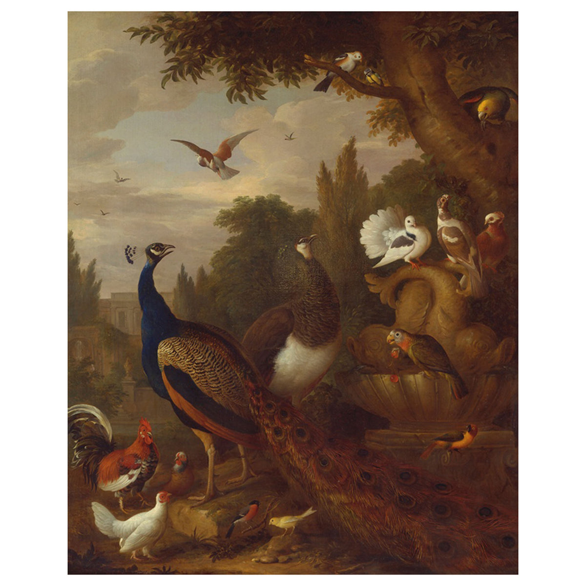 Peacock, Peahen, Parrots, Canary, and other Birds in a Park, c.1708-1710