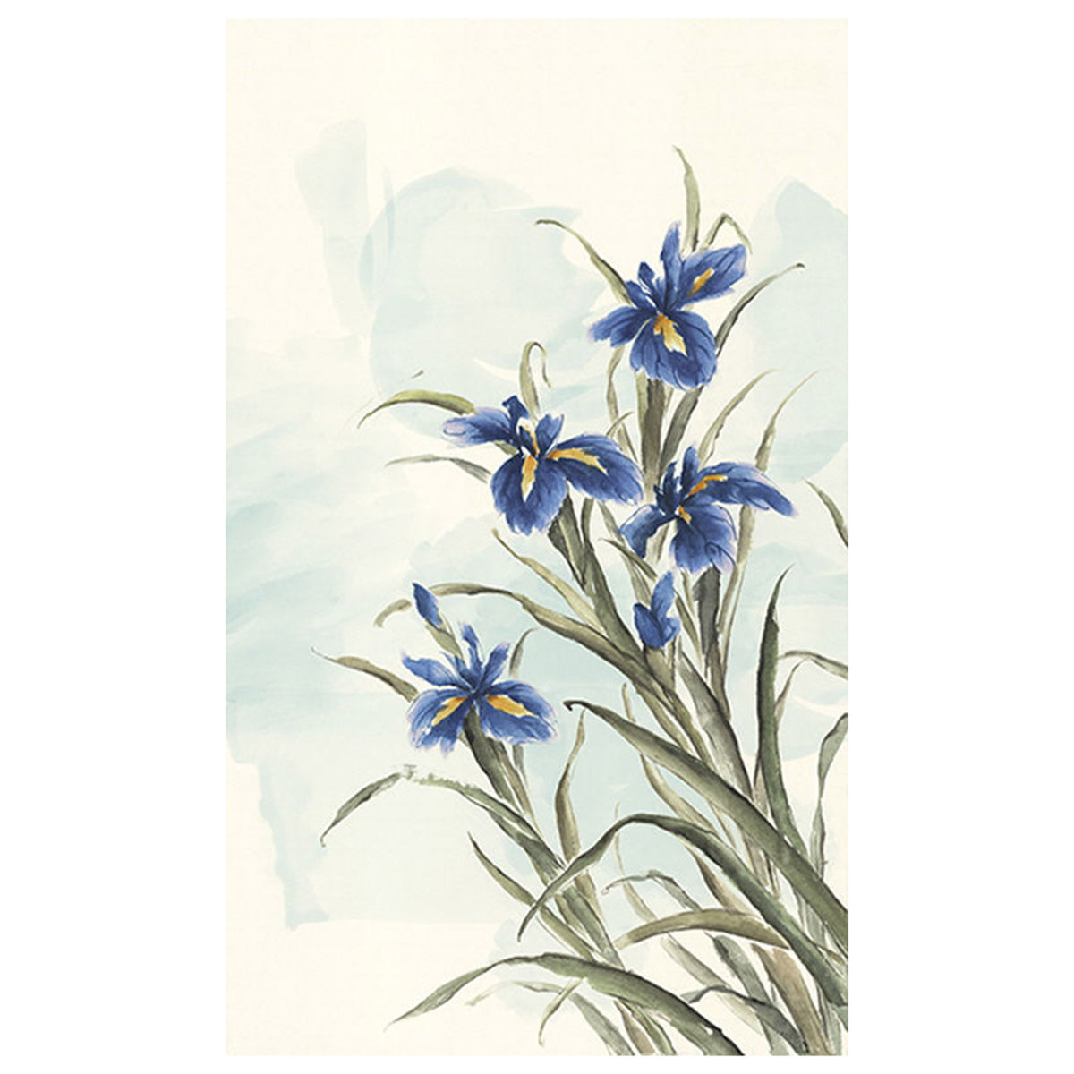 January Iris I