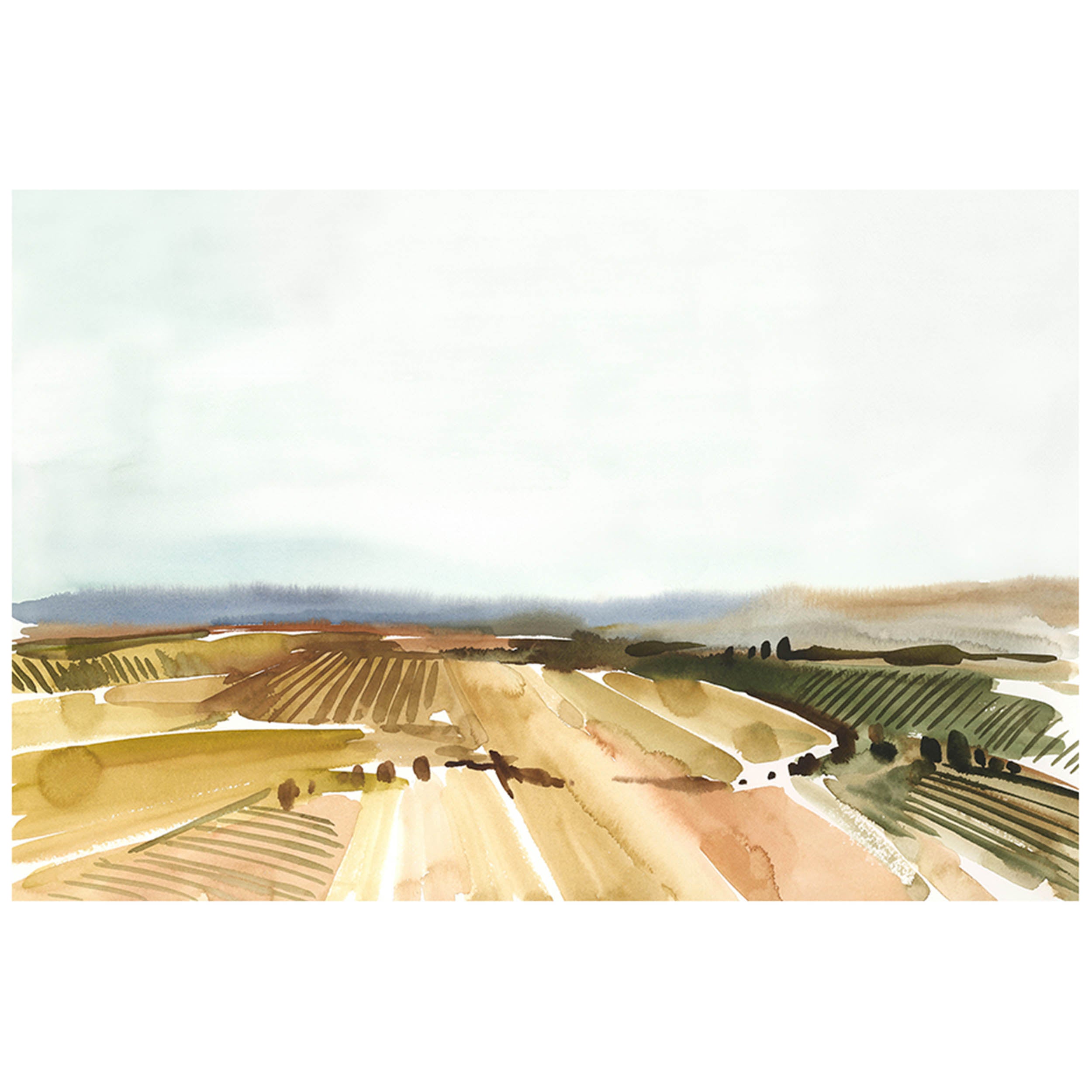 Wine Field III