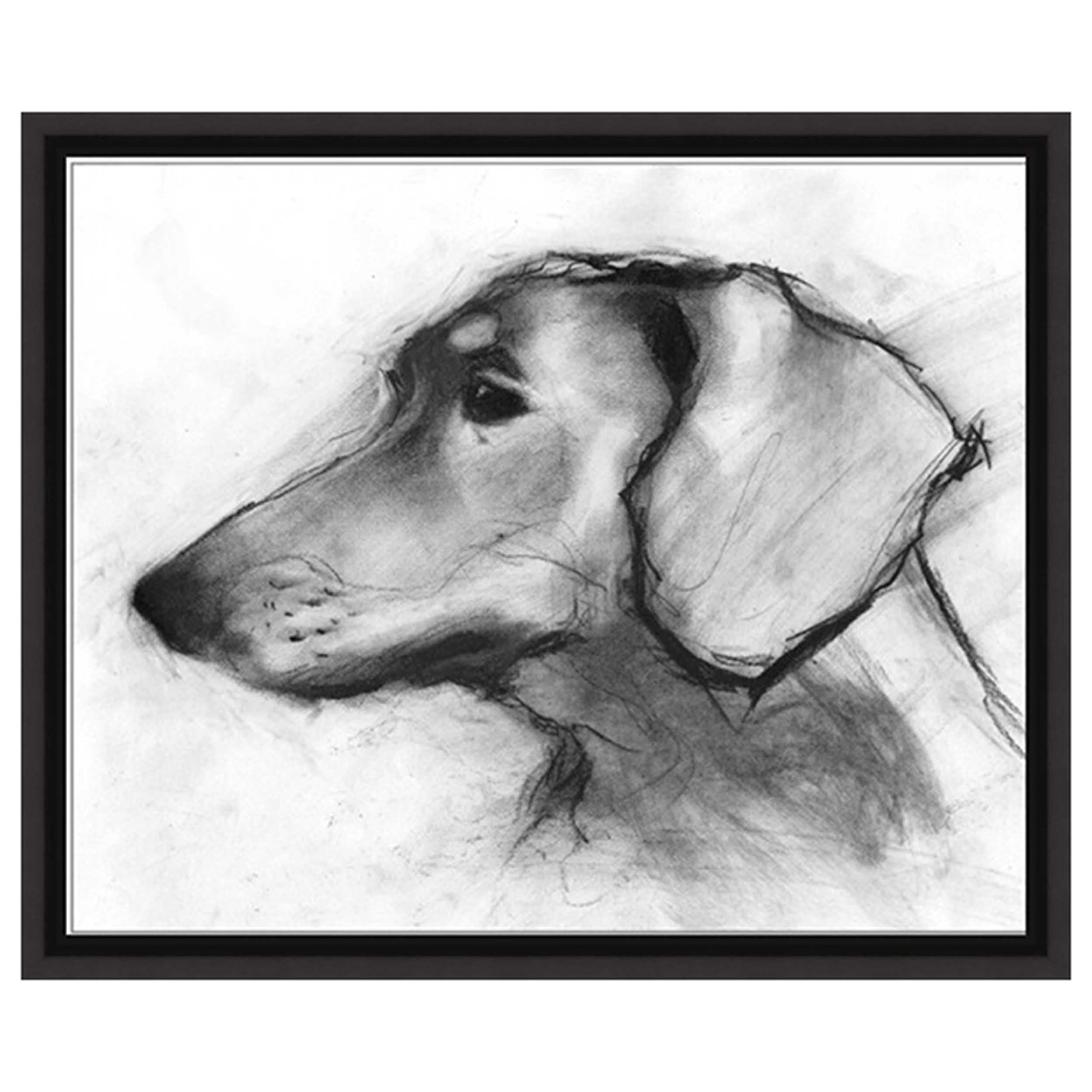 Study of a Dog VIII