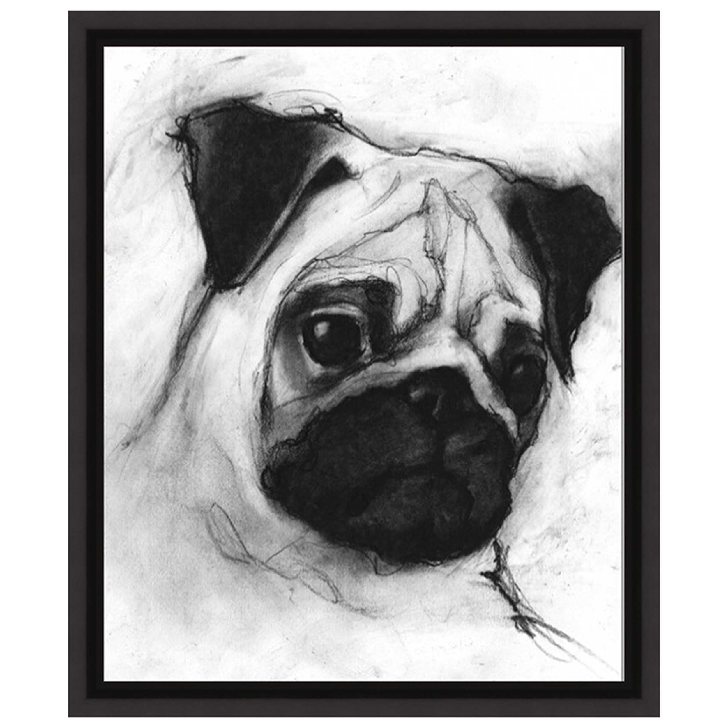 Study of Dog XIII