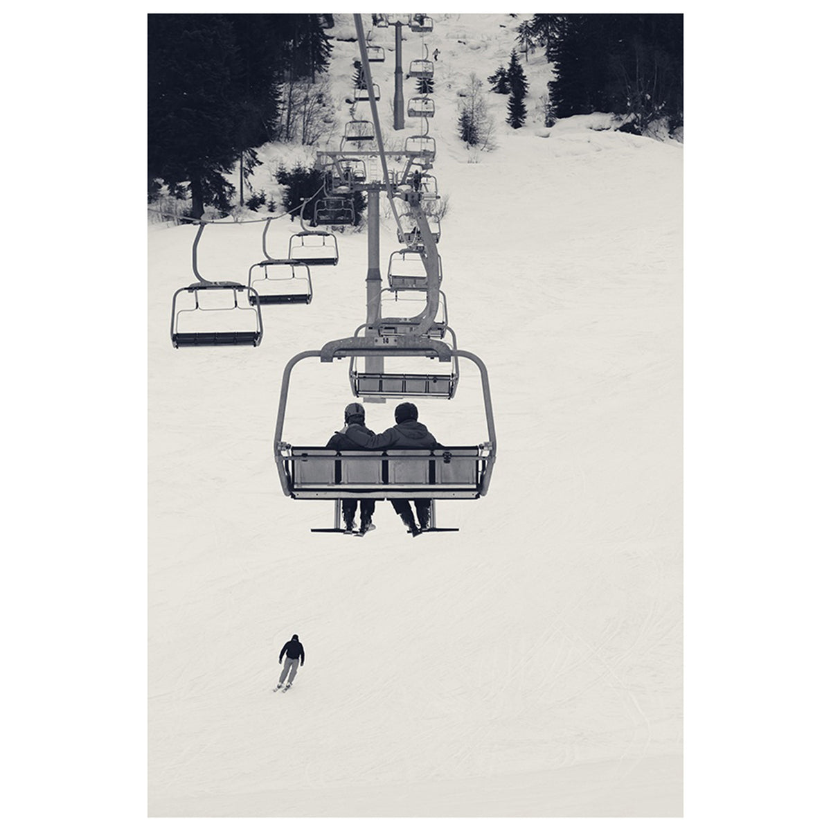 Into the Snow