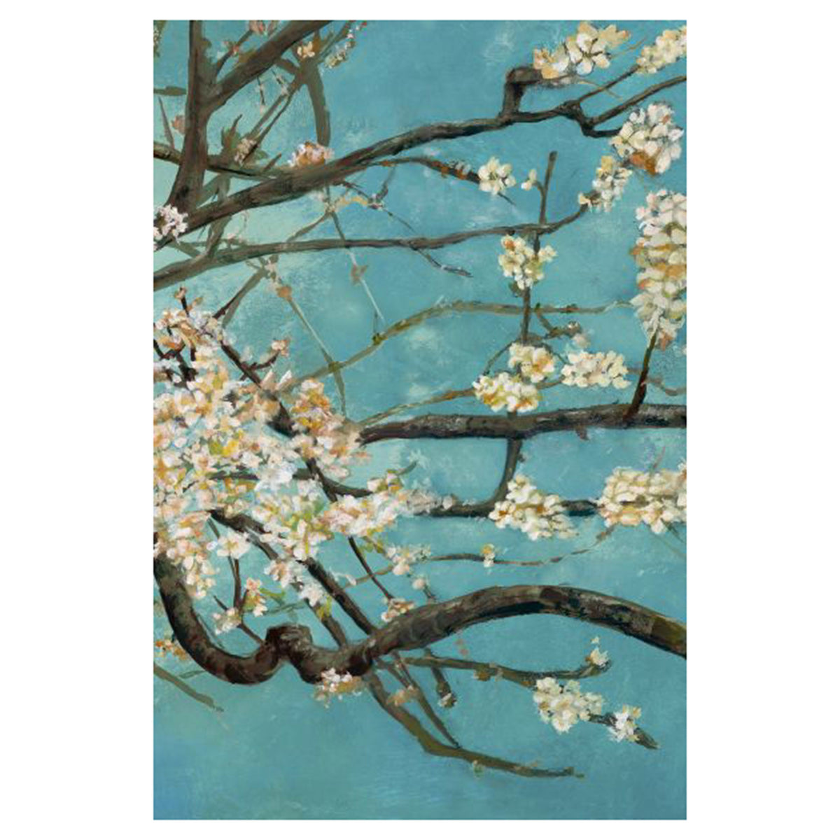 Cherry Blossoms II
