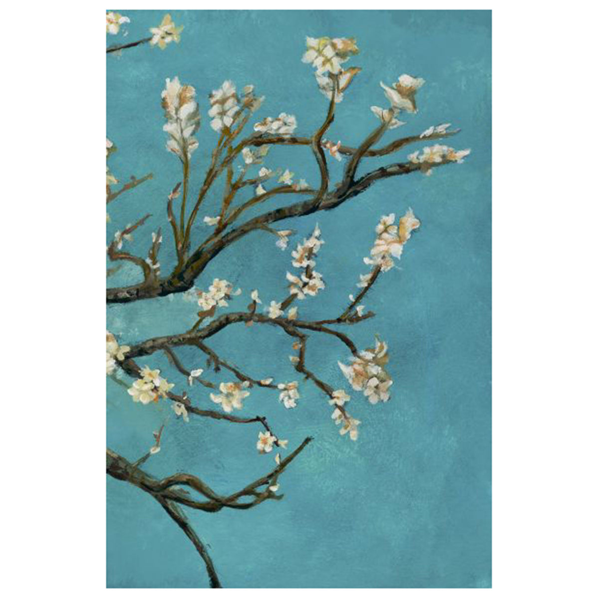 Cherry Blossoms III